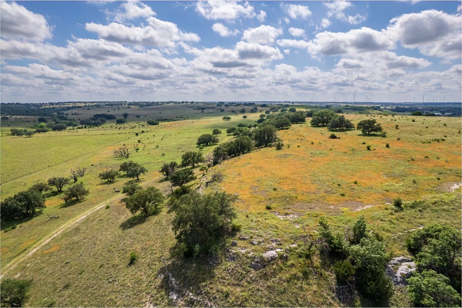 Expansive acreage featuring rolling terrain, scattered trees, and natural vegetation