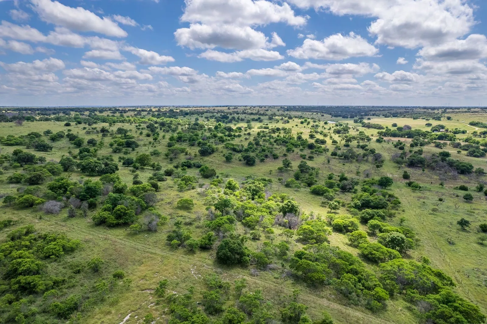 Expansive land featuring a varied terrain of green grass and numerous trees