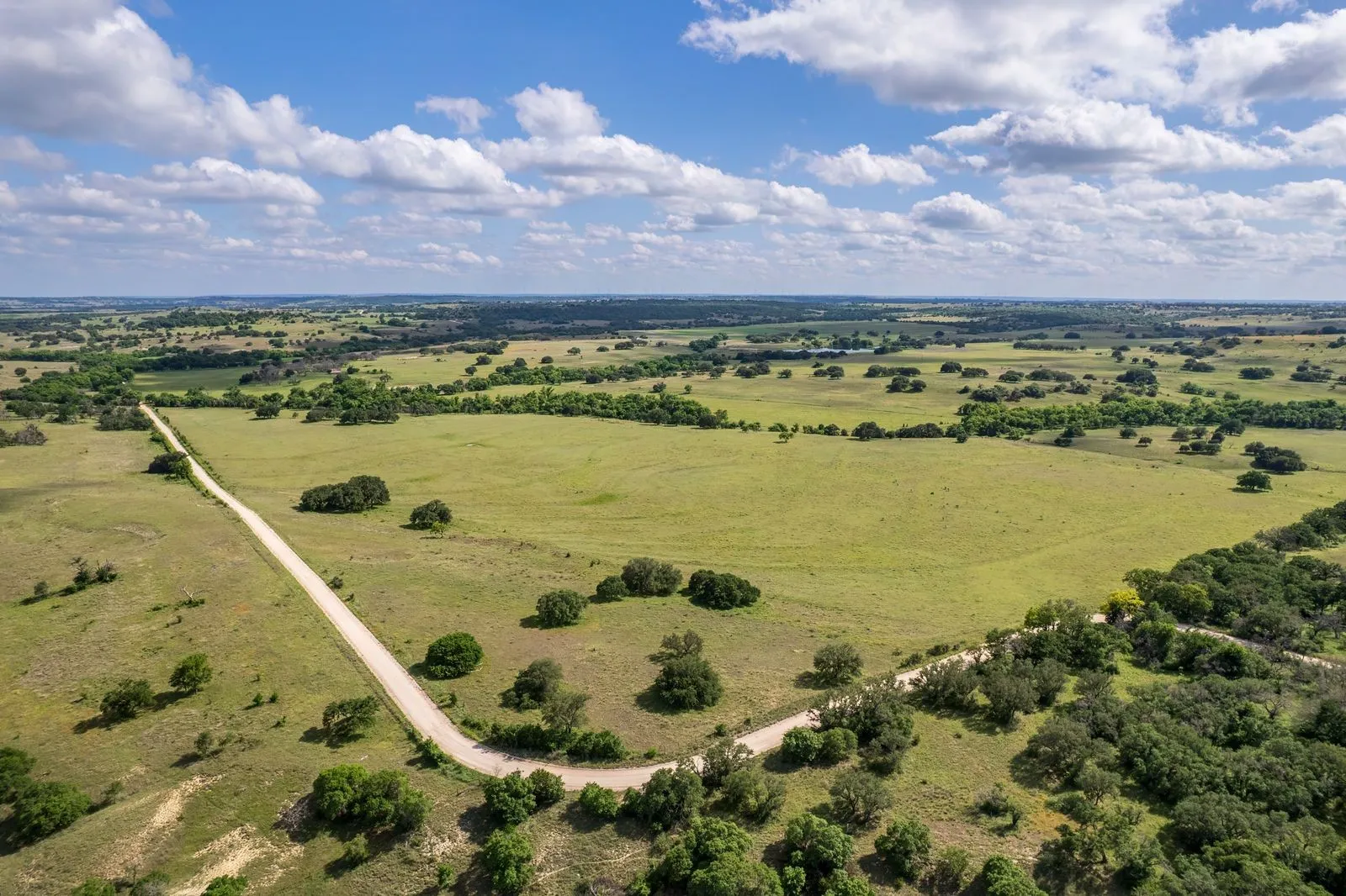 Expansive rural landscape featuring a winding dirt road and scattered mature trees