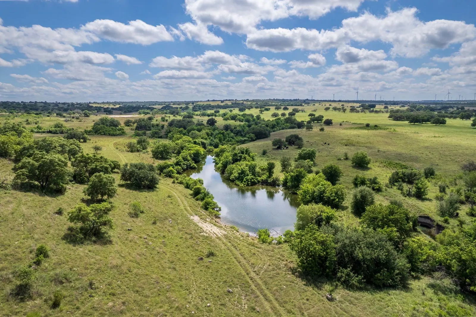 Expansive natural landscape featuring a winding waterway, scattered mature trees, open grassy areas, and distant wind turbines