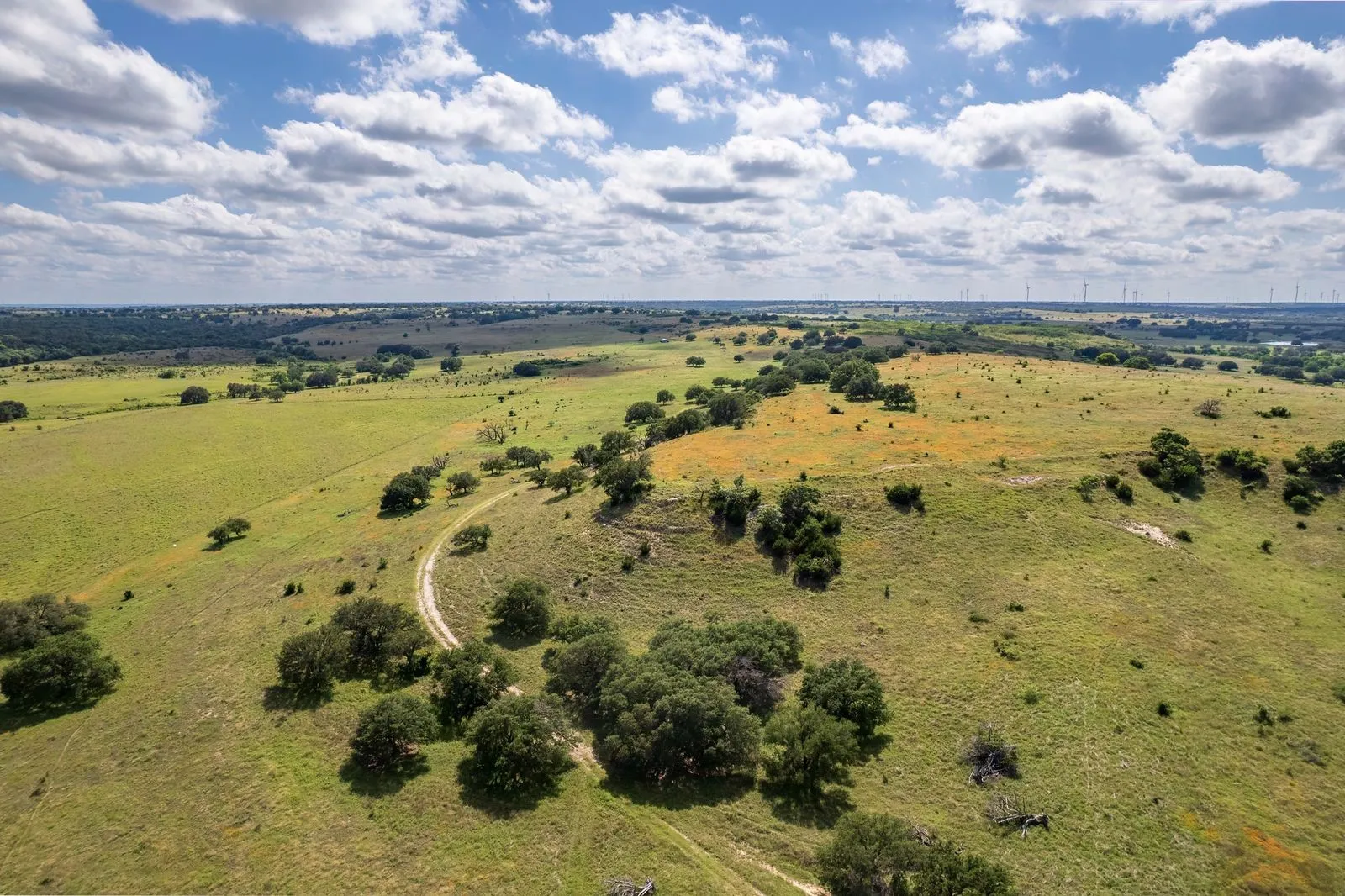 Expansive verdant landscape featuring gently rolling hills and scattered mature trees