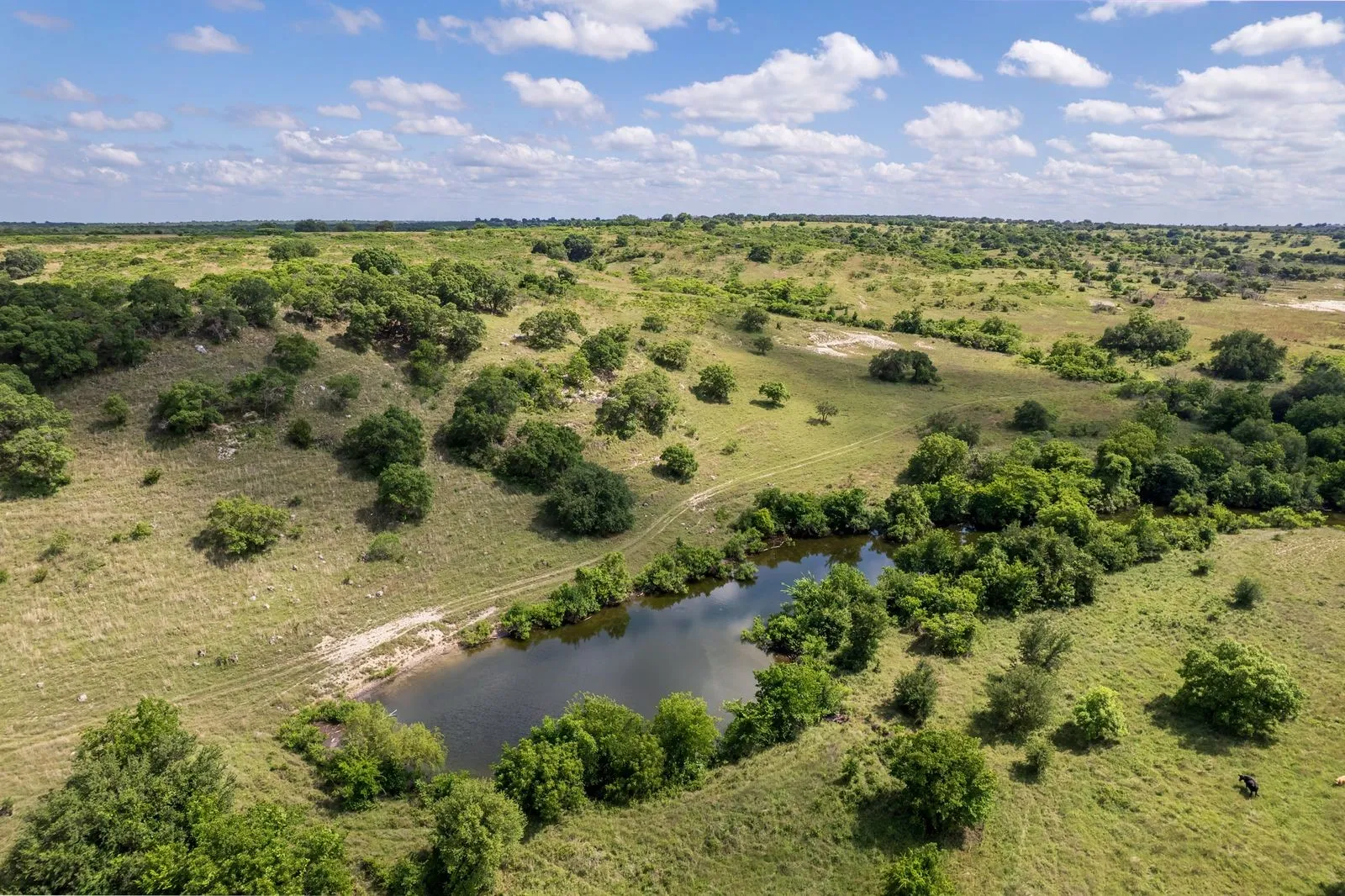 Expansive natural landscape featuring a body of water, rolling terrain, and abundant mature trees