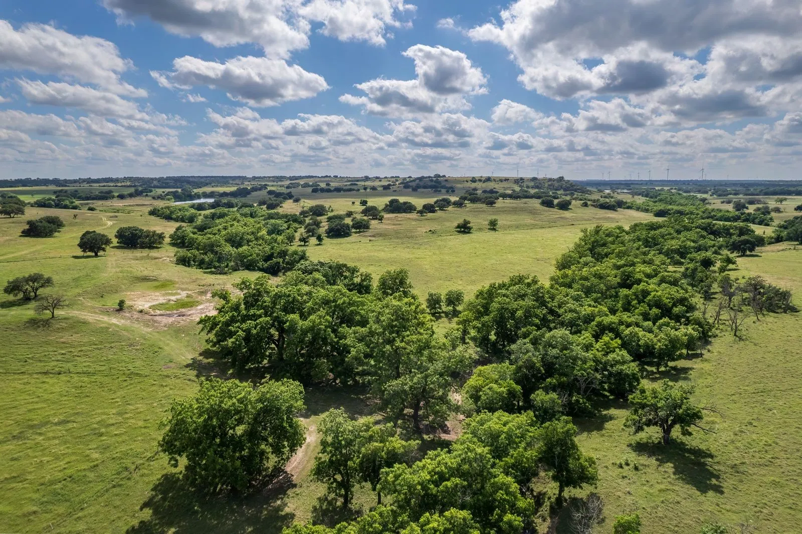 Expansive open land featuring rolling green pastures and abundant mature trees