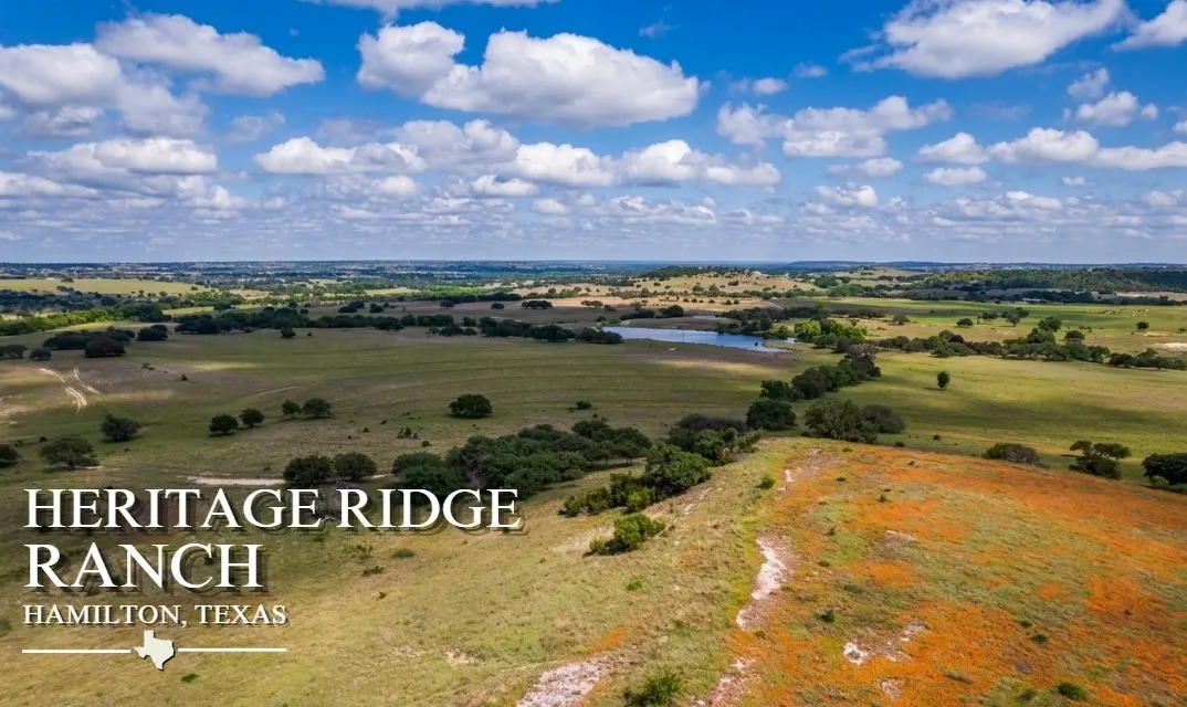 Ranch For Sale in Hamilton County , 1385 County Road 536, Hamilton, Texas 76531, 0, 0, Garage spaces, 0 Sqft, built in 0, Price $4,660,400, mls#21289407, Real Estate Agent in Hamilton, Homes For Sale in Hamilton county, Homes For Sale in Hamilton, Realtor in Hamilton Texas, Real Estate Brokerage Independent Realty Texas, Luminita Cordes Realtor
