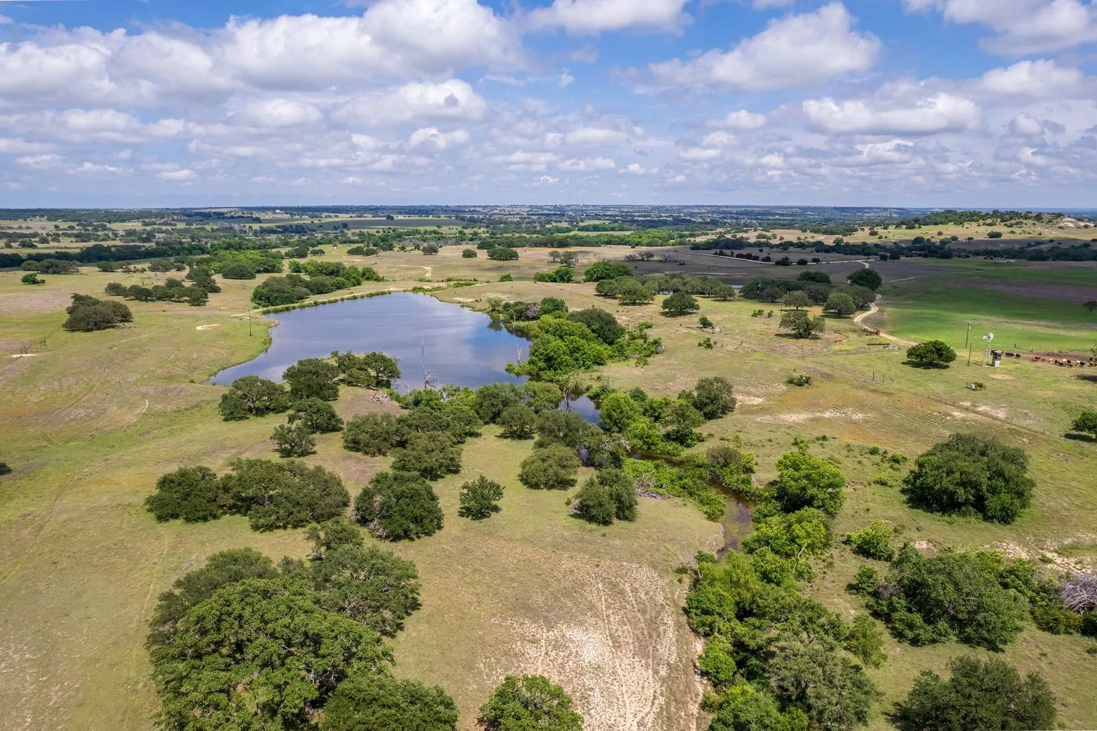 Expansive acreage featuring a substantial pond, scattered mature trees, natural water features, and open fields under a bright sky