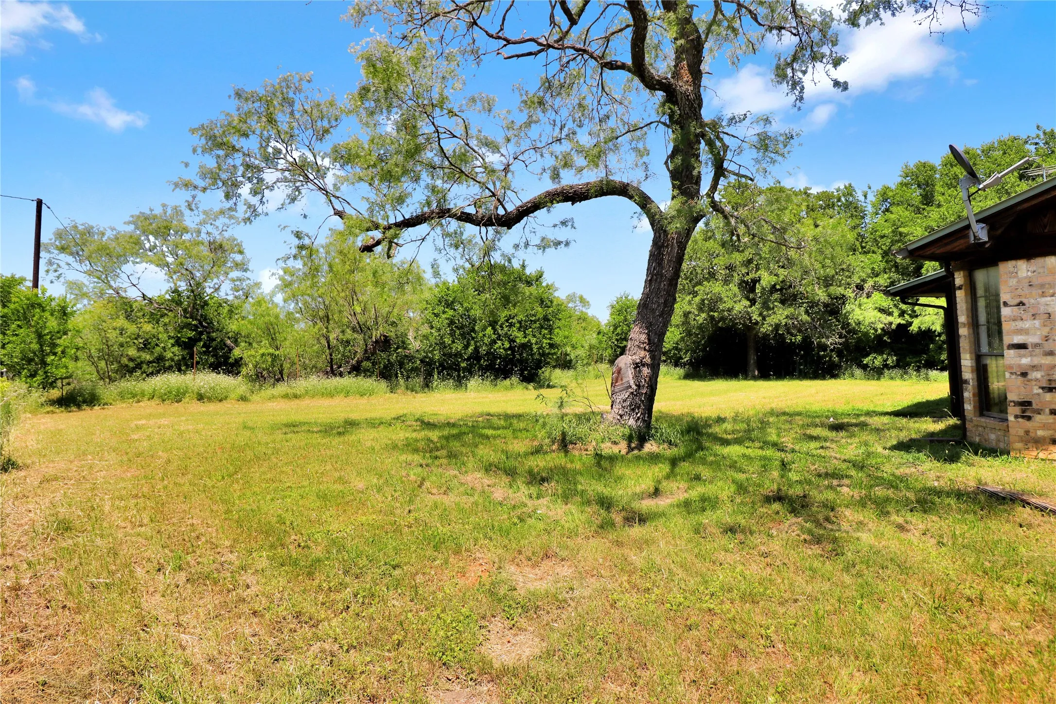 Spacious grassy area featuring a mature tree providing natural shade