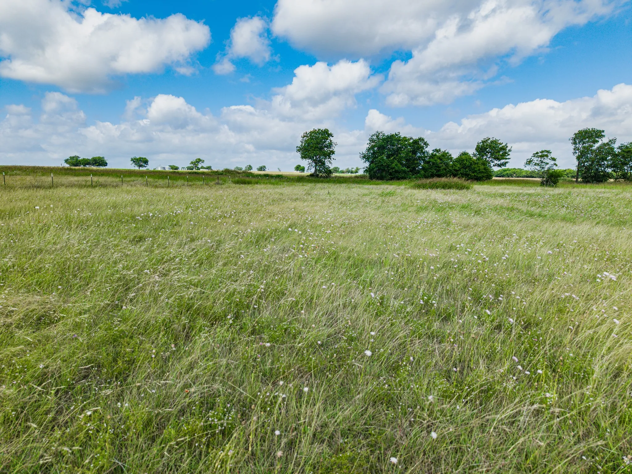 Unimproved Land For Sale in Mc Lennan County , 295 Turkey Run Road, Crawford, Texas 76638, 0, 0, Garage spaces, 0 Sqft, built in 0, Price $260,000, mls#21296982, Real Estate Agent in Crawford, Homes For Sale in Mc Lennan county, Homes For Sale in Crawford, Realtor in Crawford Texas, Real Estate Brokerage Independent Realty Texas, Luminita Cordes Realtor
