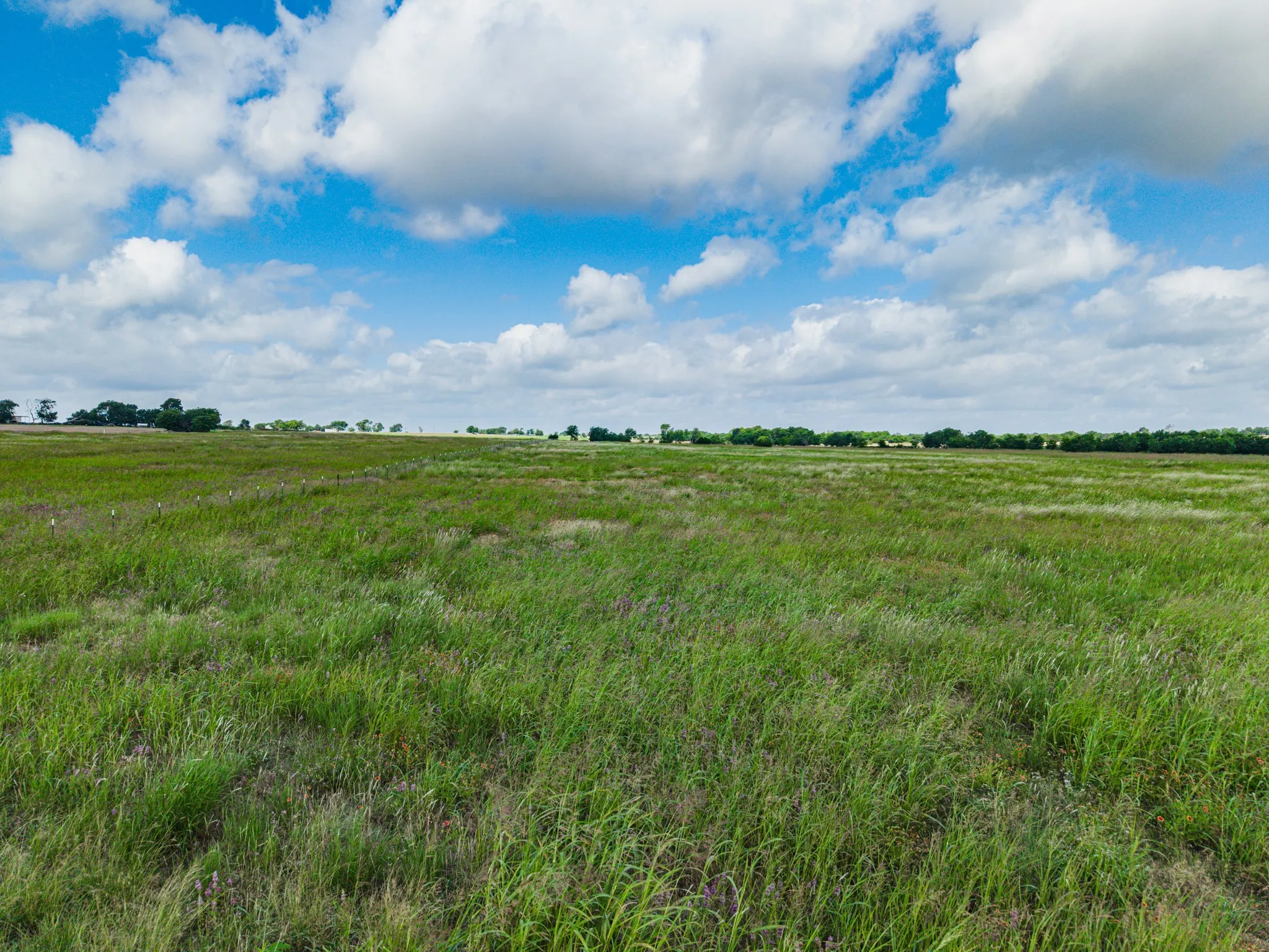 Unimproved Land For Sale in Mc Lennan County , 295 Turkey Run Road, Crawford, Texas 76638, 0, 0, Garage spaces, 0 Sqft, built in 0, Price $260,000, mls#21296982, Real Estate Agent in Crawford, Homes For Sale in Mc Lennan county, Homes For Sale in Crawford, Realtor in Crawford Texas, Real Estate Brokerage Independent Realty Texas, Luminita Cordes Realtor