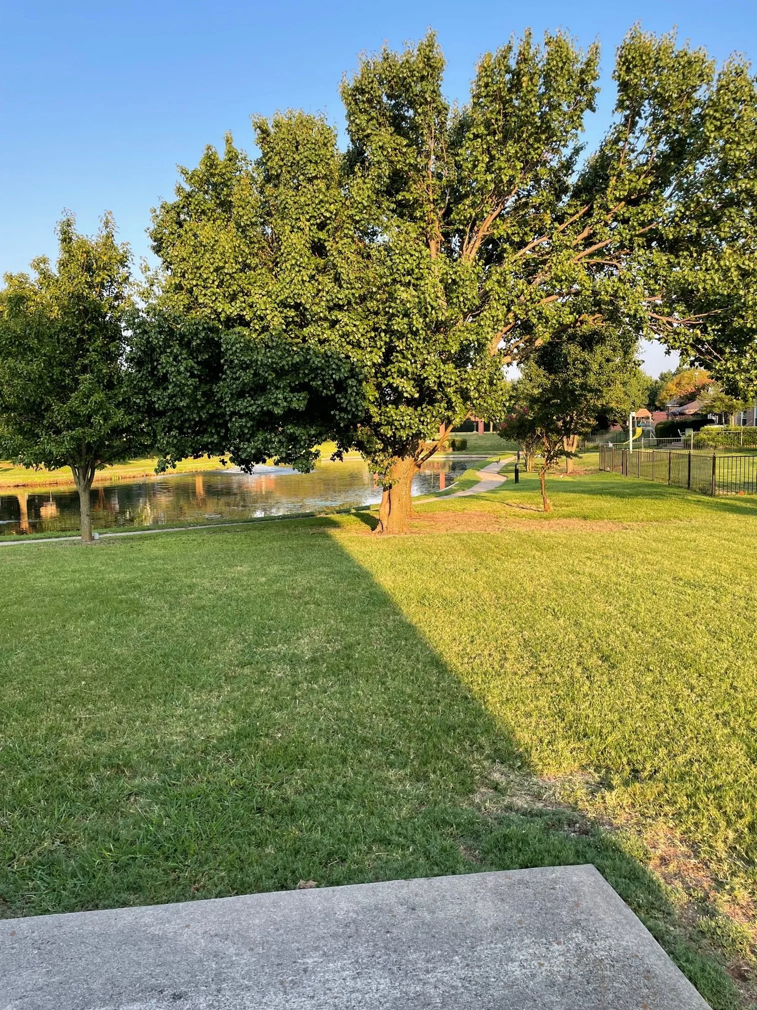 Single Family Residence For Rent in Collin County , 8007 Galley Street, Frisco, Texas 75035, 3 Bedroom, 3 Bathroom, 2 Garage spaces, 2,148 Sqft, built in 1998, mls#21297286, Real Estate Agent in Frisco, Homes For Rent in Collin county, Homes For Rent in Frisco, Realtor in Frisco Texas, Real Estate Brokerage Independent Realty Texas, Luminita Cordes Realtor