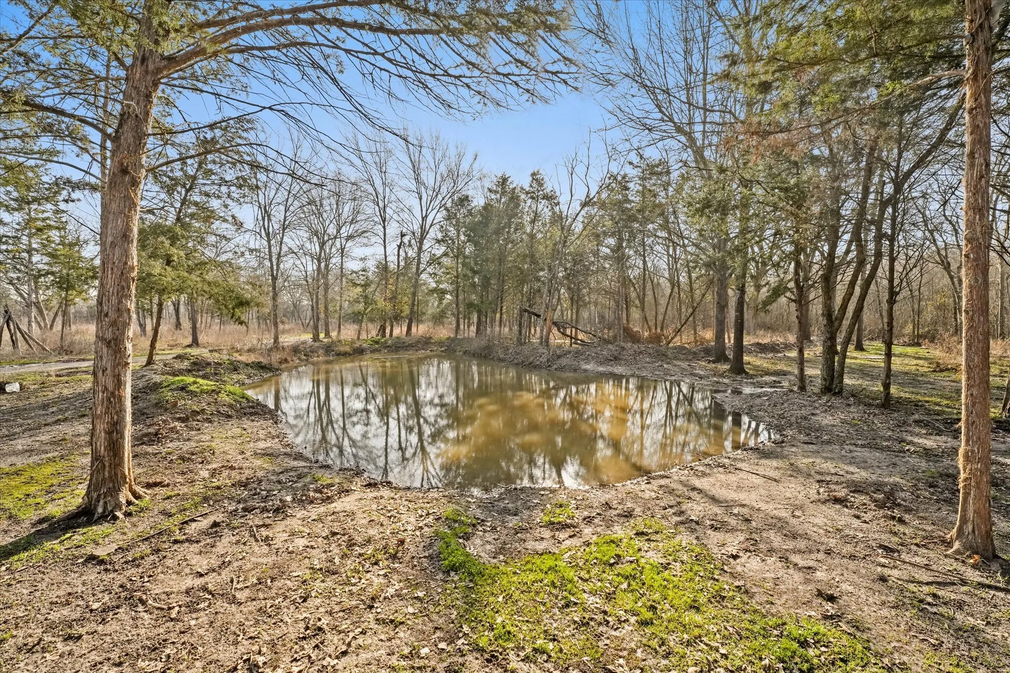 Improved Land For Sale in Hunt County , 3402 County Road 1160, Greenville, Texas 75401, 0, 0, Garage spaces, 0 Sqft, built in 0, mls#21297082, Real Estate Agent in Greenville, Homes For Sale in Hunt county, Homes For Sale in Greenville, Realtor in Greenville Texas, Real Estate Brokerage Independent Realty Texas, Luminita Cordes Realtor