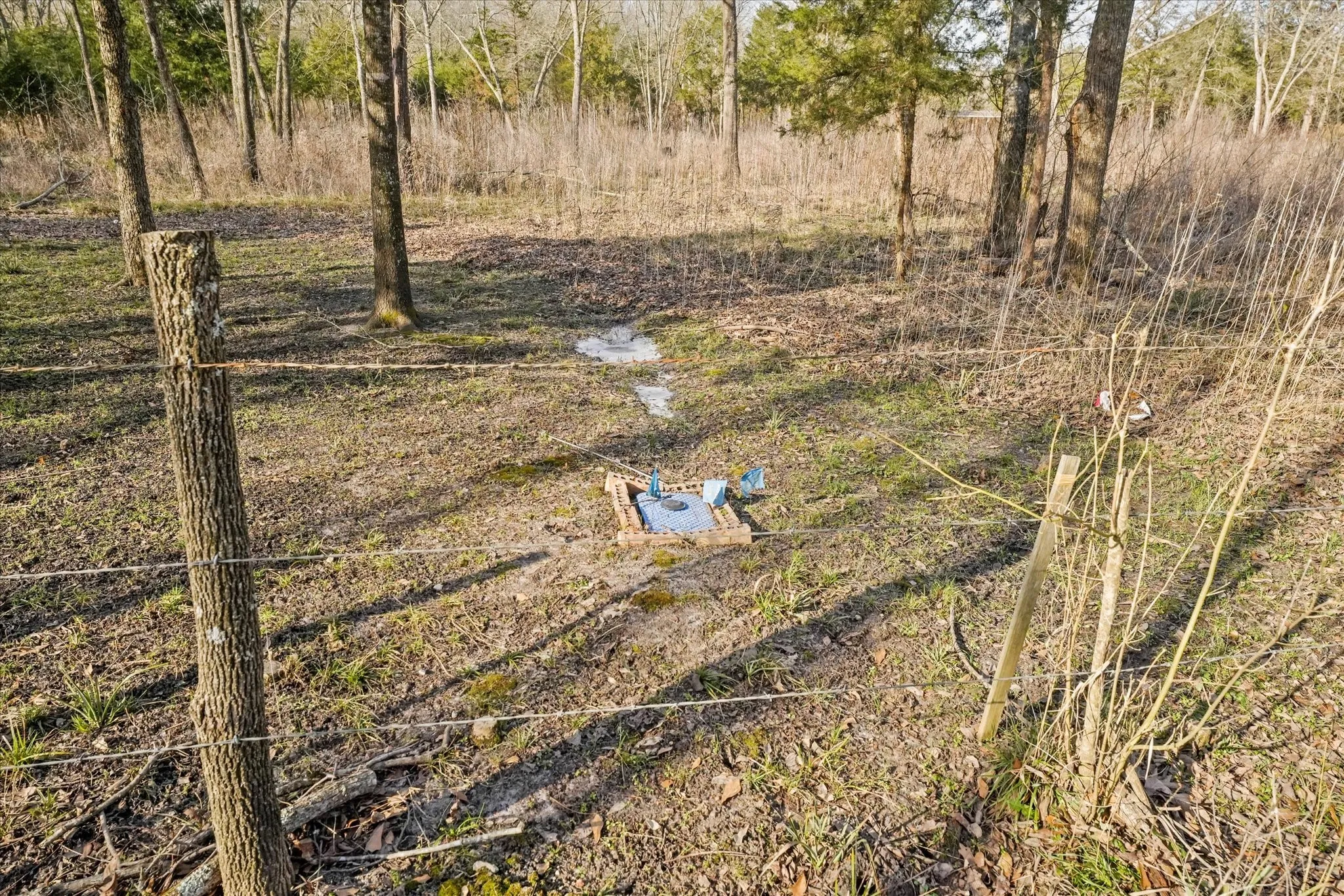 Improved Land For Sale in Hunt County , 3402 County Road 1160, Greenville, Texas 75401, 0, 0, Garage spaces, 0 Sqft, built in 0, mls#21297082, Real Estate Agent in Greenville, Homes For Sale in Hunt county, Homes For Sale in Greenville, Realtor in Greenville Texas, Real Estate Brokerage Independent Realty Texas, Luminita Cordes Realtor