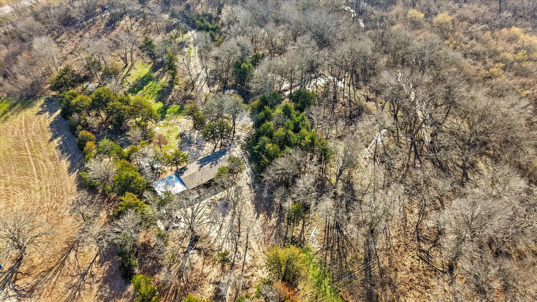 Improved Land For Sale in Hunt County , 3402 County Road 1160, Greenville, Texas 75401, 0, 0, Garage spaces, 0 Sqft, built in 0, mls#21297082, Real Estate Agent in Greenville, Homes For Sale in Hunt county, Homes For Sale in Greenville, Realtor in Greenville Texas, Real Estate Brokerage Independent Realty Texas, Luminita Cordes Realtor