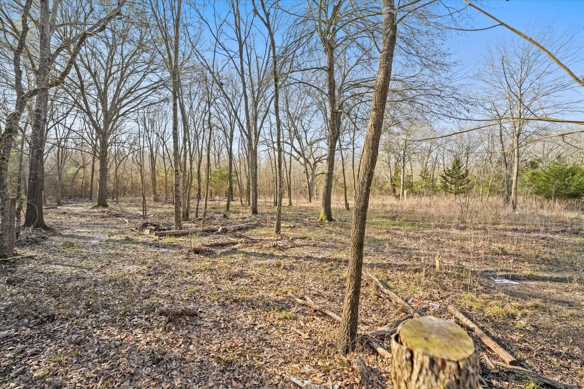 Improved Land For Sale in Hunt County , 3402 County Road 1160, Greenville, Texas 75401, 0, 0, Garage spaces, 0 Sqft, built in 0, mls#21297082, Real Estate Agent in Greenville, Homes For Sale in Hunt county, Homes For Sale in Greenville, Realtor in Greenville Texas, Real Estate Brokerage Independent Realty Texas, Luminita Cordes Realtor