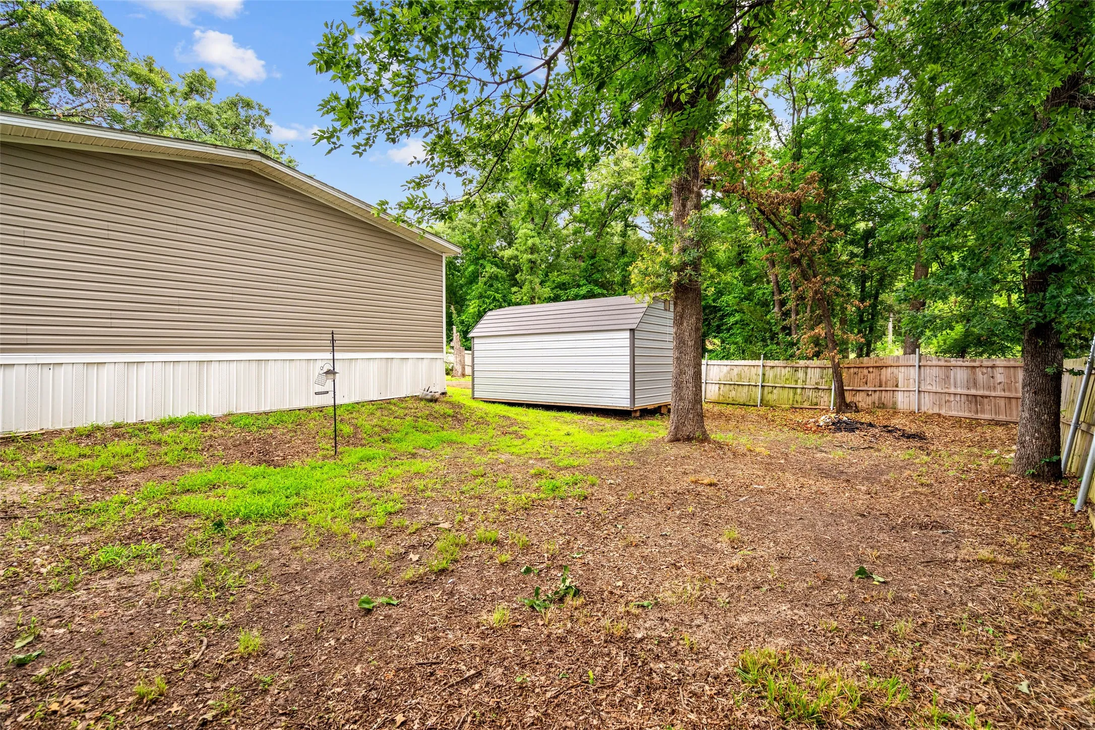 Side Yard