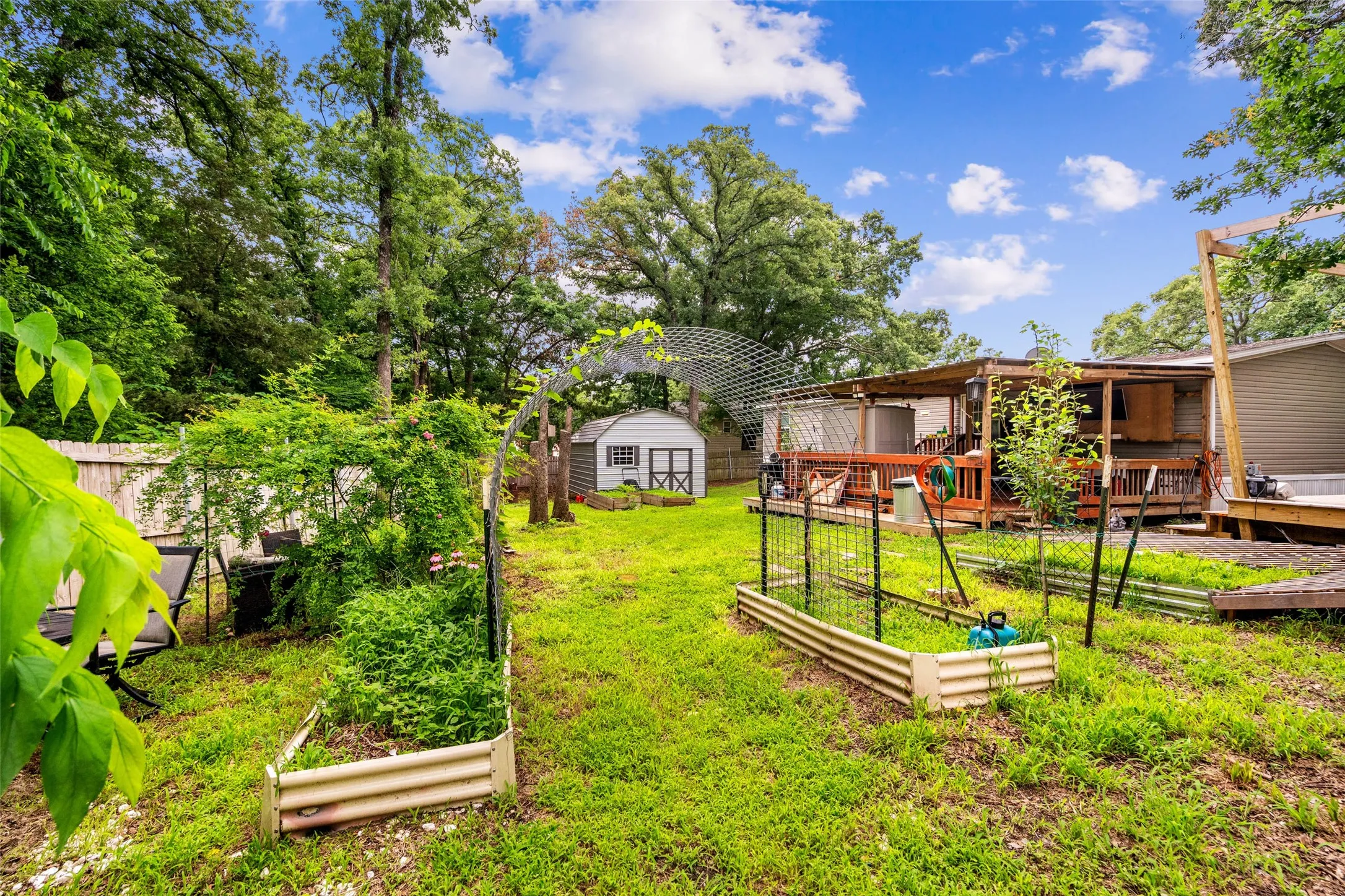 Back Yard w/ Garden