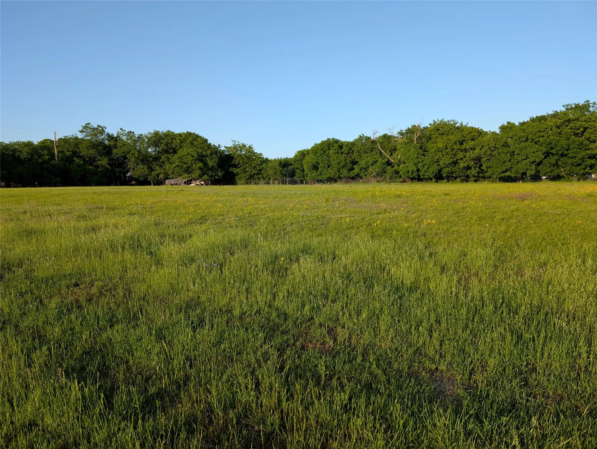 Unimproved Land For Sale in Parker County , 3111 Oakey Trail, Hudson Oaks, Texas 76087, 0, 0, Garage spaces, 0 Sqft, built in 0, mls#21296601, Real Estate Agent in Hudson Oaks, Homes For Sale in Parker county, Homes For Sale in Hudson Oaks, Realtor in Hudson Oaks Texas, Real Estate Brokerage Independent Realty Texas, Luminita Cordes Realtor