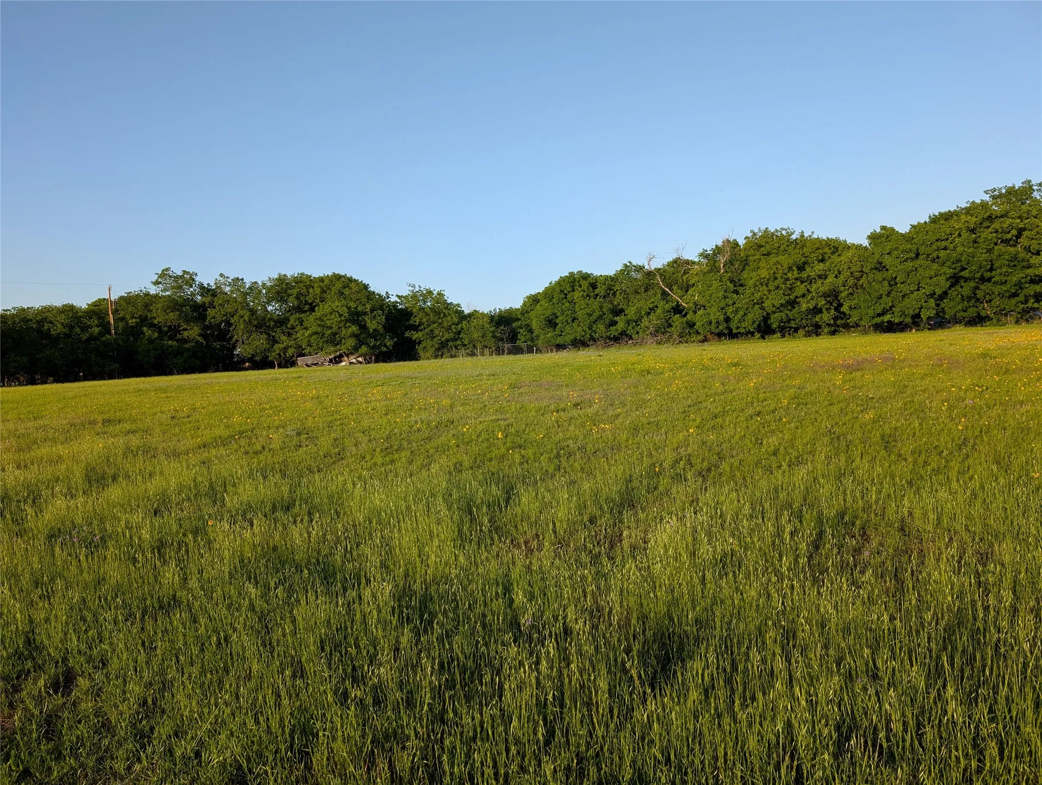 Unimproved Land For Sale in Parker County , 3111 Oakey Trail, Hudson Oaks, Texas 76087, 0, 0, Garage spaces, 0 Sqft, built in 0, mls#21296601, Real Estate Agent in Hudson Oaks, Homes For Sale in Parker county, Homes For Sale in Hudson Oaks, Realtor in Hudson Oaks Texas, Real Estate Brokerage Independent Realty Texas, Luminita Cordes Realtor