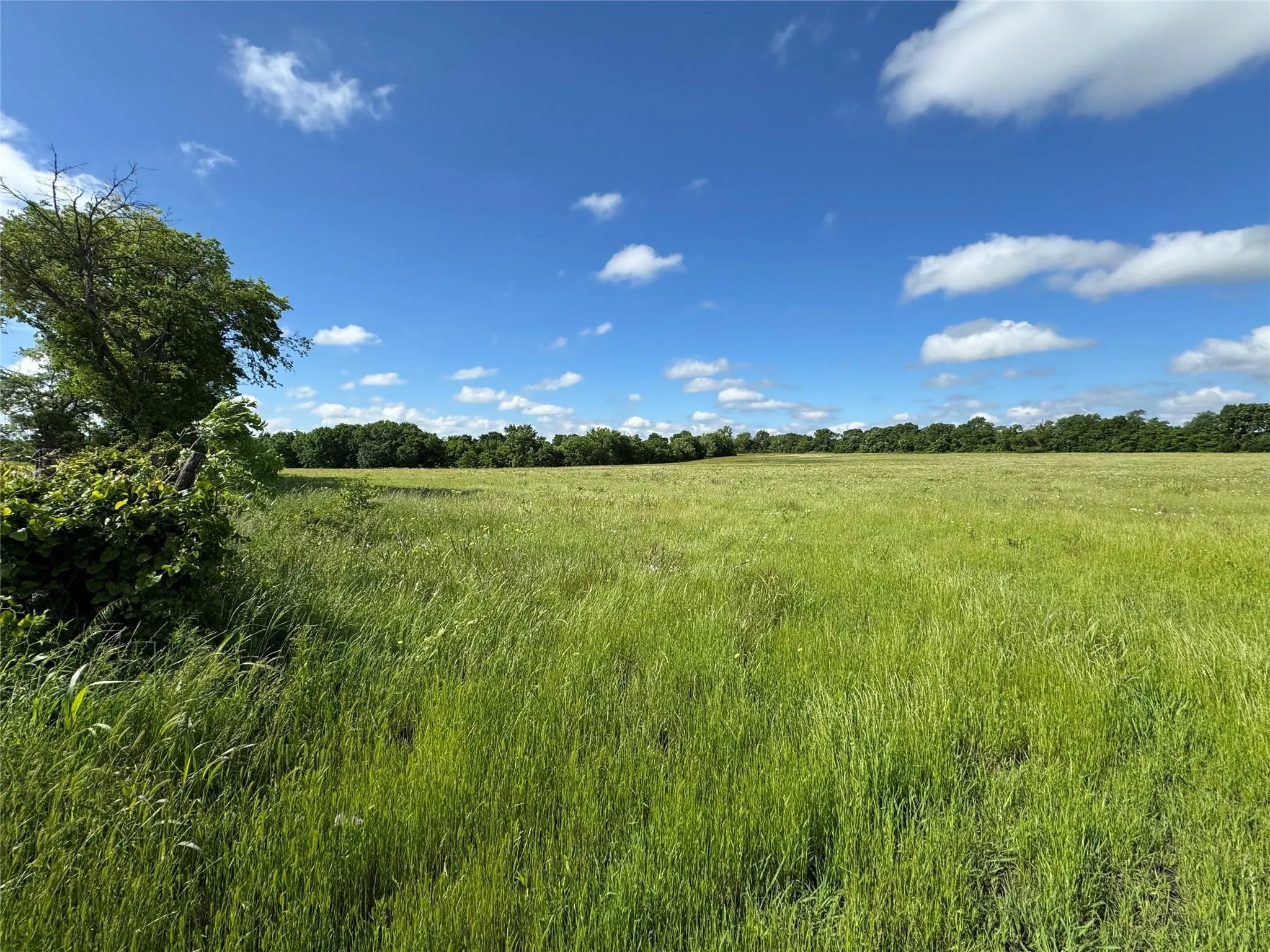 Acreage in Sherman