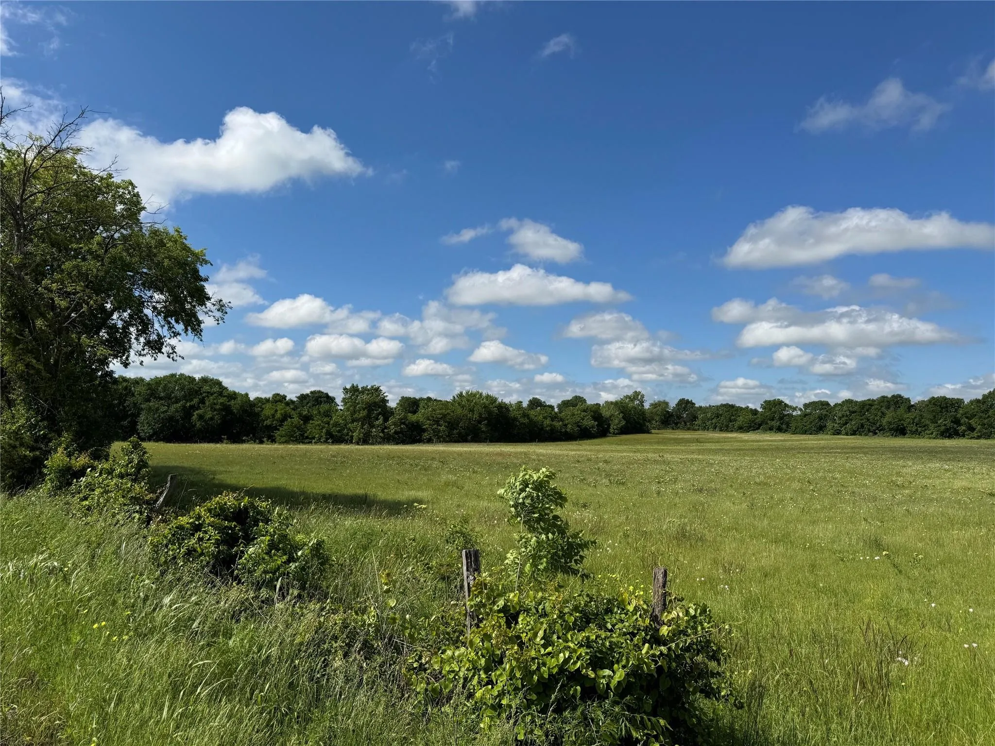 Acreage with water in Sherman
