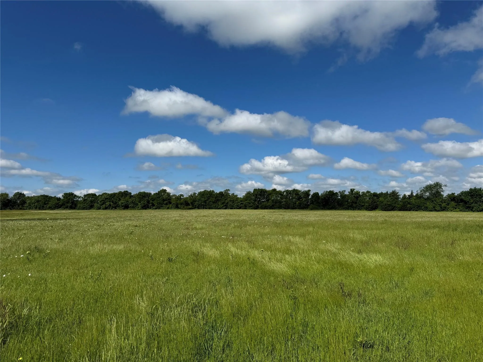 11+ Acres in Sherman