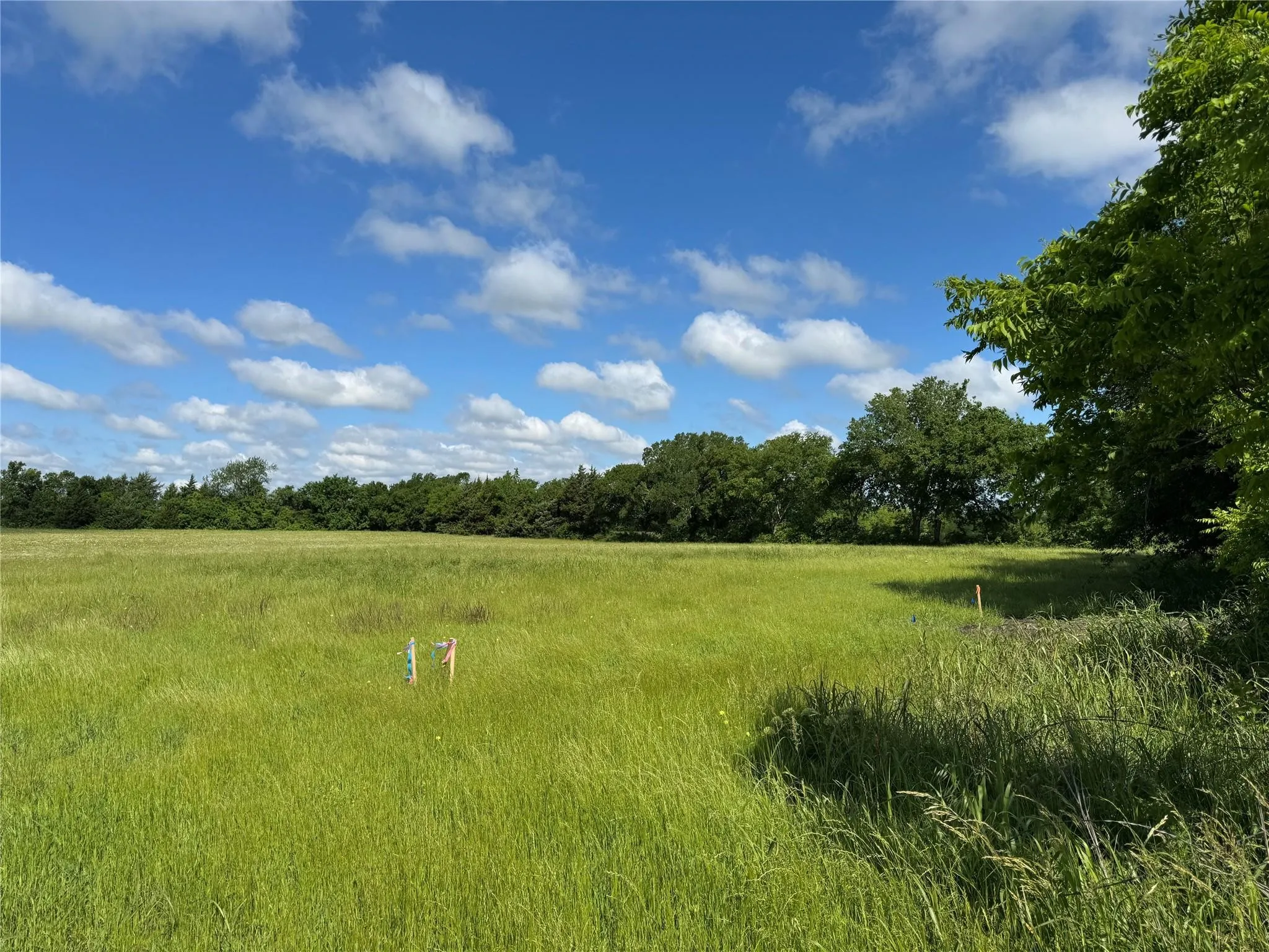 Improved Land For Sale in Grayson County , TBD Tribble Road, Sherman, Texas 75090, 0, 0, Garage spaces, 0 Sqft, built in 0, mls#21297369, Real Estate Agent in Sherman, Homes For Sale in Grayson county, Homes For Sale in Sherman, Realtor in Sherman Texas, Real Estate Brokerage Independent Realty Texas, Luminita Cordes Realtor