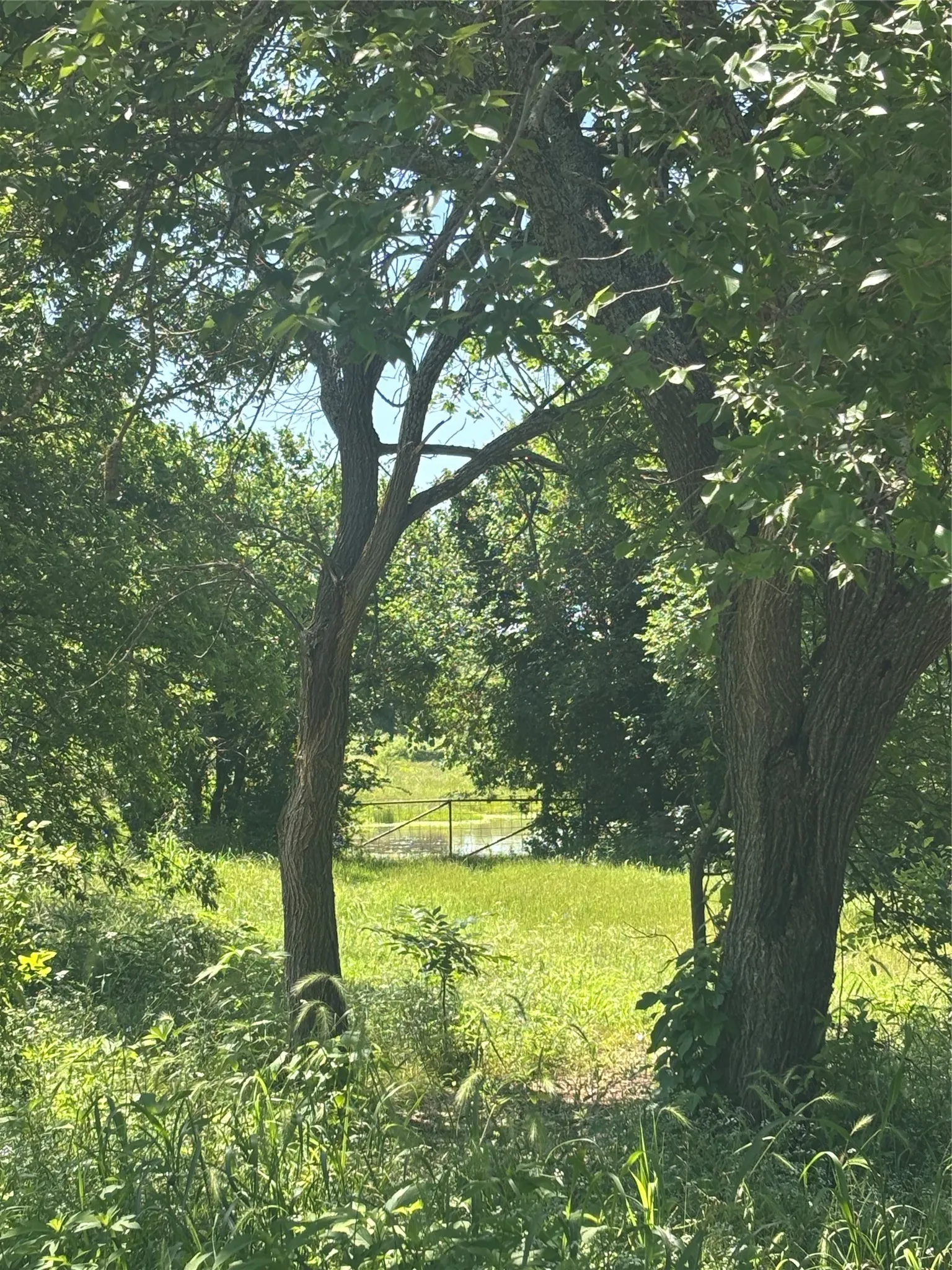 Single Family Residence For Sale in Jack County , 3020 Fm 2210 E, Perrin, Texas 76486, 3 Bedroom, 2 Bathroom, Garage spaces, 1,687 Sqft, built in 1965, mls#21284615, Real Estate Agent in Perrin, Homes For Sale in Jack county, Homes For Sale in Perrin, Realtor in Perrin Texas, Real Estate Brokerage Independent Realty Texas, Luminita Cordes Realtor