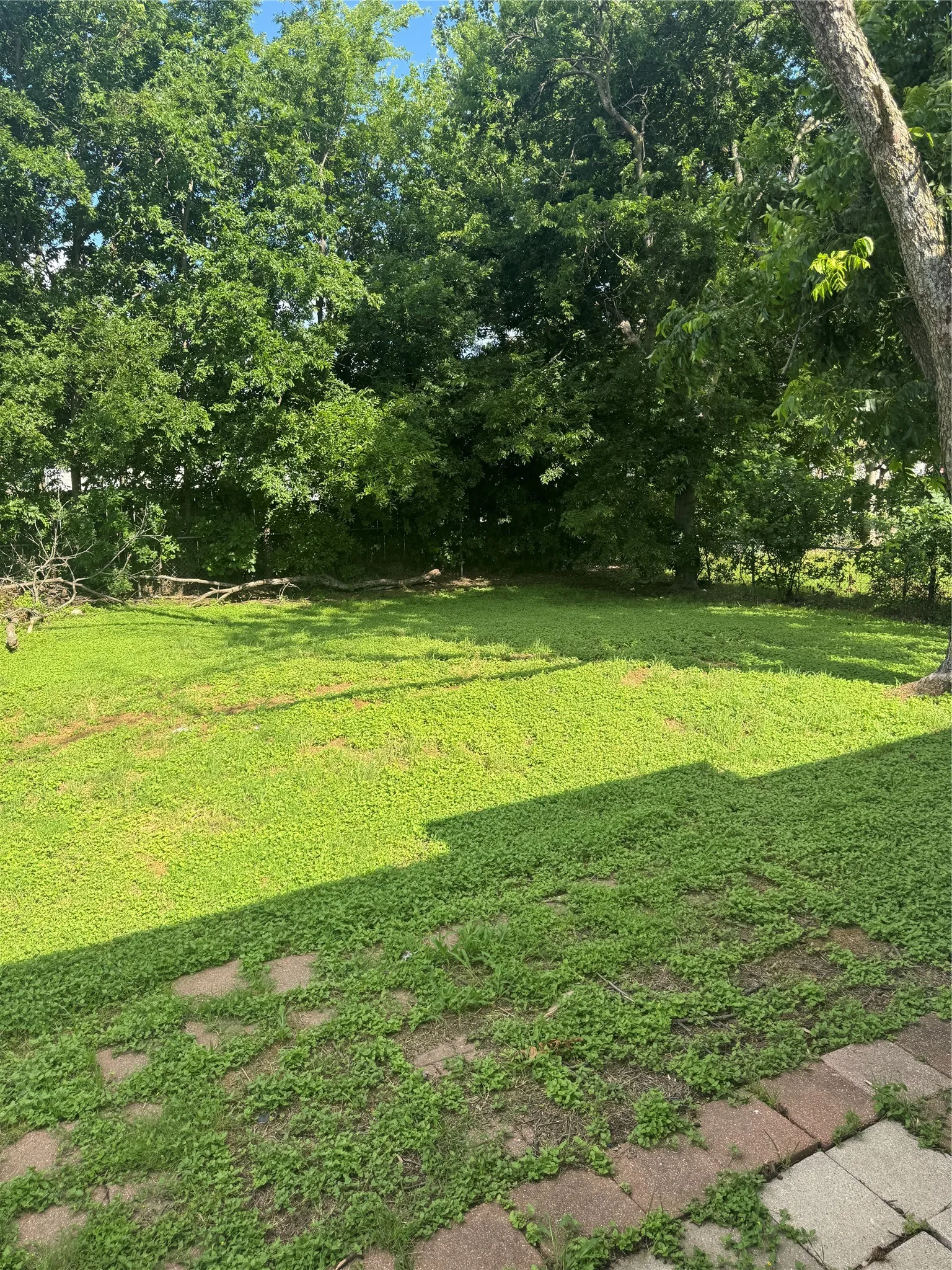 Single Family Residence For Sale in Hunt County , 4414 Roberts Street, Greenville, Texas 75401, 3 Bedroom, 1 Bathroom, Garage spaces, 1,042 Sqft, built in 1965, mls#21296205, Real Estate Agent in Greenville, Homes For Sale in Hunt county, Homes For Sale in Greenville, Realtor in Greenville Texas, Real Estate Brokerage Independent Realty Texas, Luminita Cordes Realtor