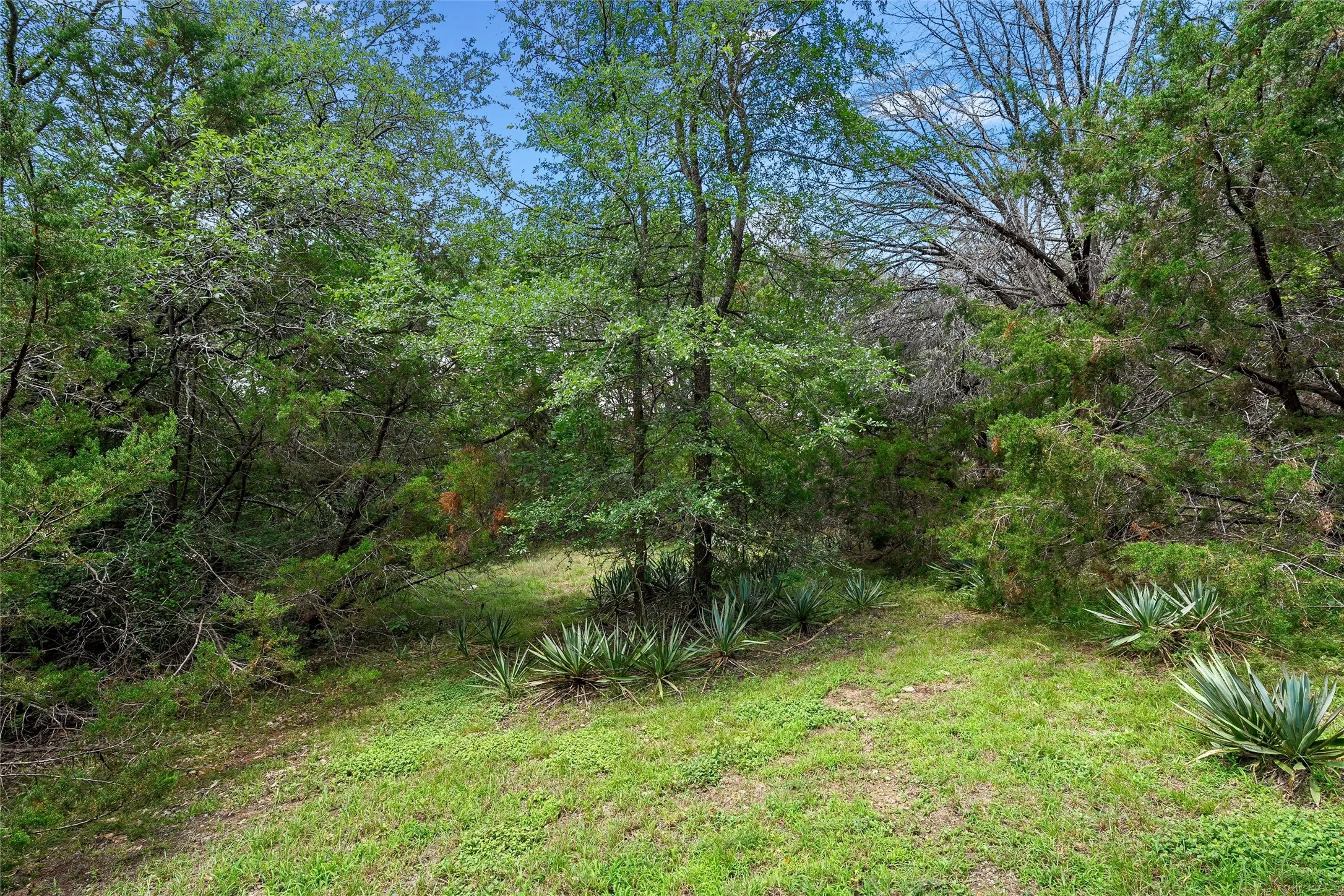 Single Family Residence For Sale in Mc Lennan County , 139 Cresthill Circle, Valley Mills, Texas 76689, 3 Bedroom, 2 Bathroom, Garage spaces, 1,260 Sqft, built in 1985, mls#21296171, Real Estate Agent in Valley Mills, Homes For Sale in Mc Lennan county, Homes For Sale in Valley Mills, Realtor in Valley Mills Texas, Real Estate Brokerage Independent Realty Texas, Luminita Cordes Realtor