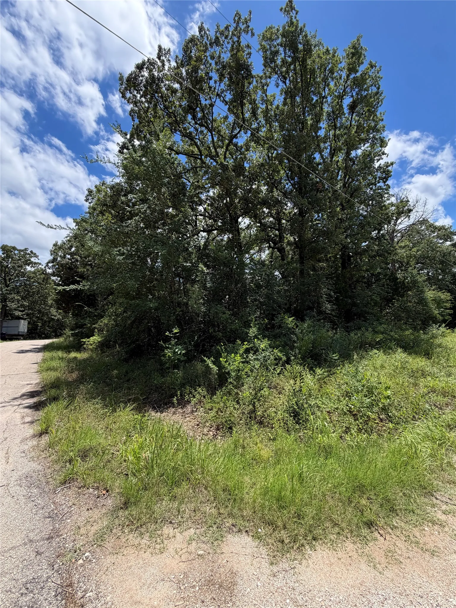 Unimproved Land For Sale in Henderson County , 150 Navarro Drive, Mabank, Texas 75156, 0, 0, Garage spaces, 0 Sqft, built in 0, mls#21293194, Real Estate Agent in Mabank, Homes For Sale in Henderson county, Homes For Sale in Mabank, Realtor in Mabank Texas, Real Estate Brokerage Independent Realty Texas, Luminita Cordes Realtor