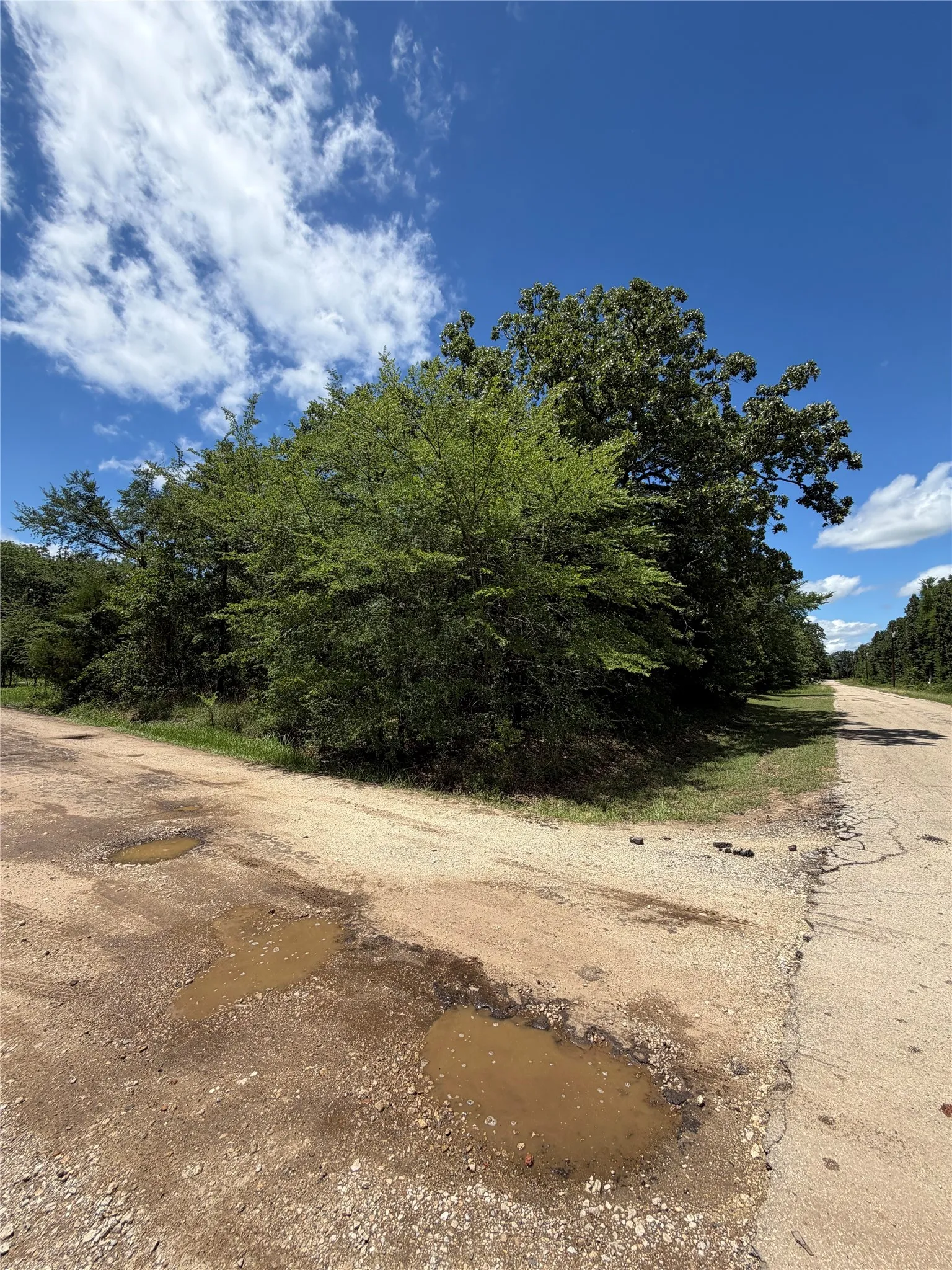 Unimproved Land For Sale in Henderson County , 150 Navarro Drive, Mabank, Texas 75156, 0, 0, Garage spaces, 0 Sqft, built in 0, mls#21293194, Real Estate Agent in Mabank, Homes For Sale in Henderson county, Homes For Sale in Mabank, Realtor in Mabank Texas, Real Estate Brokerage Independent Realty Texas, Luminita Cordes Realtor