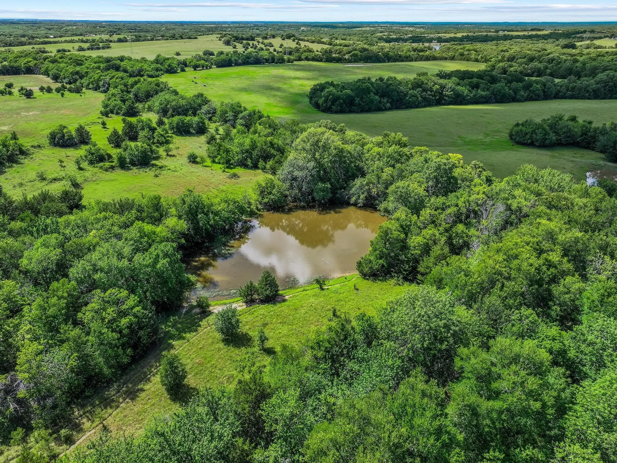 Ranch For Sale in Grayson County , 0000 FM 697, Whitewright, Texas 75491, 0, 0, Garage spaces, 0 Sqft, built in 0, Price $6,800,000, mls#21297532, Real Estate Agent in Whitewright, Homes For Sale in Grayson county, Homes For Sale in Whitewright, Realtor in Whitewright Texas, Real Estate Brokerage Independent Realty Texas, Luminita Cordes Realtor