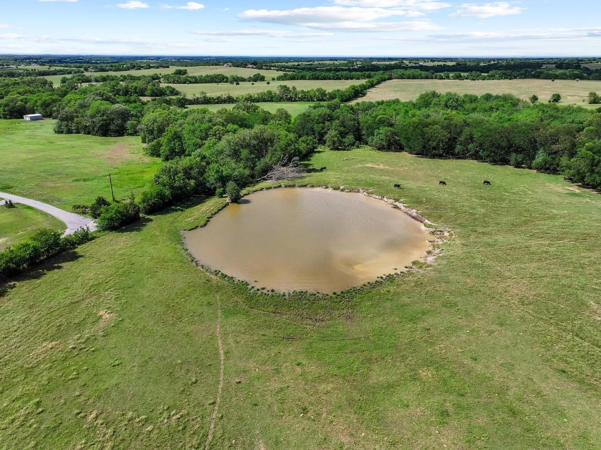 Ranch For Sale in Grayson County , 0000 FM 697, Whitewright, Texas 75491, 0, 0, Garage spaces, 0 Sqft, built in 0, Price $6,800,000, mls#21297532, Real Estate Agent in Whitewright, Homes For Sale in Grayson county, Homes For Sale in Whitewright, Realtor in Whitewright Texas, Real Estate Brokerage Independent Realty Texas, Luminita Cordes Realtor