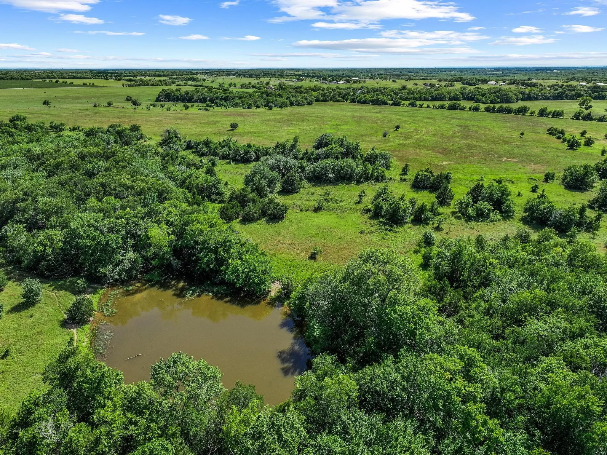 Ranch For Sale in Grayson County , 0000 FM 697, Whitewright, Texas 75491, 0, 0, Garage spaces, 0 Sqft, built in 0, Price $6,800,000, mls#21297532, Real Estate Agent in Whitewright, Homes For Sale in Grayson county, Homes For Sale in Whitewright, Realtor in Whitewright Texas, Real Estate Brokerage Independent Realty Texas, Luminita Cordes Realtor