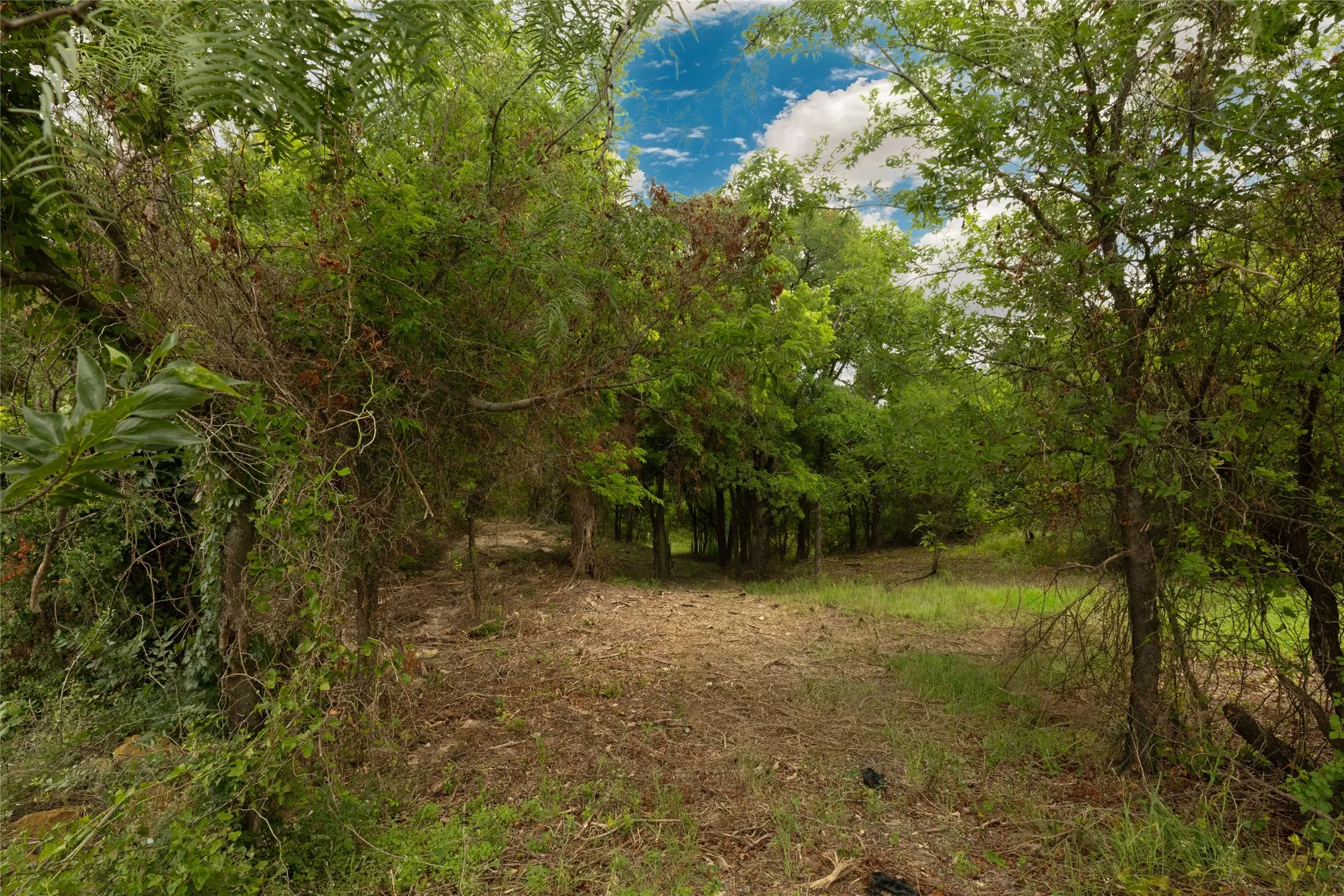 Unimproved Land For Sale in Wise County , TBD Lanai Circle, Runaway Bay, Texas 76426, 0, 0, Garage spaces, 0 Sqft, built in 0, Price $22,000, mls#21297581, Real Estate Agent in Runaway Bay, Homes For Sale in Wise county, Homes For Sale in Runaway Bay, Realtor in Runaway Bay Texas, Real Estate Brokerage Independent Realty Texas, Luminita Cordes Realtor