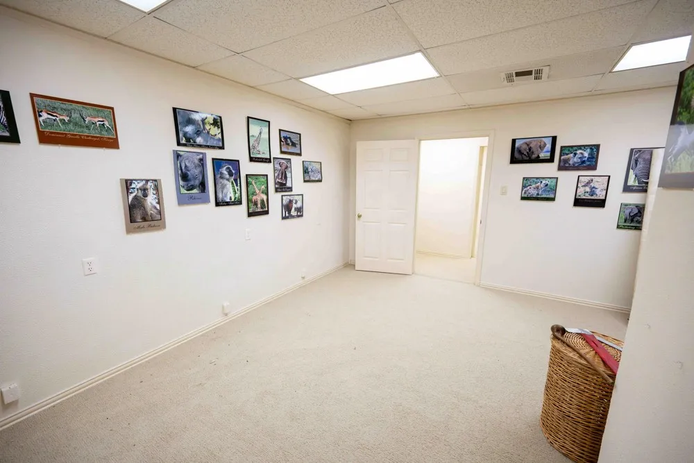 Back conference room/office