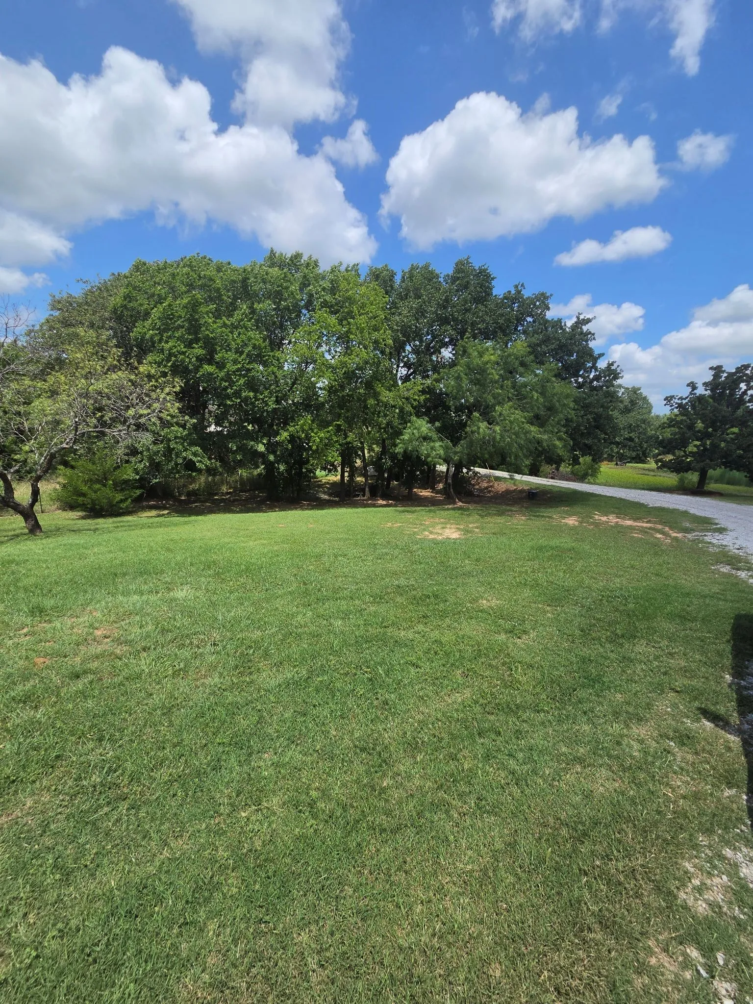 Gorgeous front yard