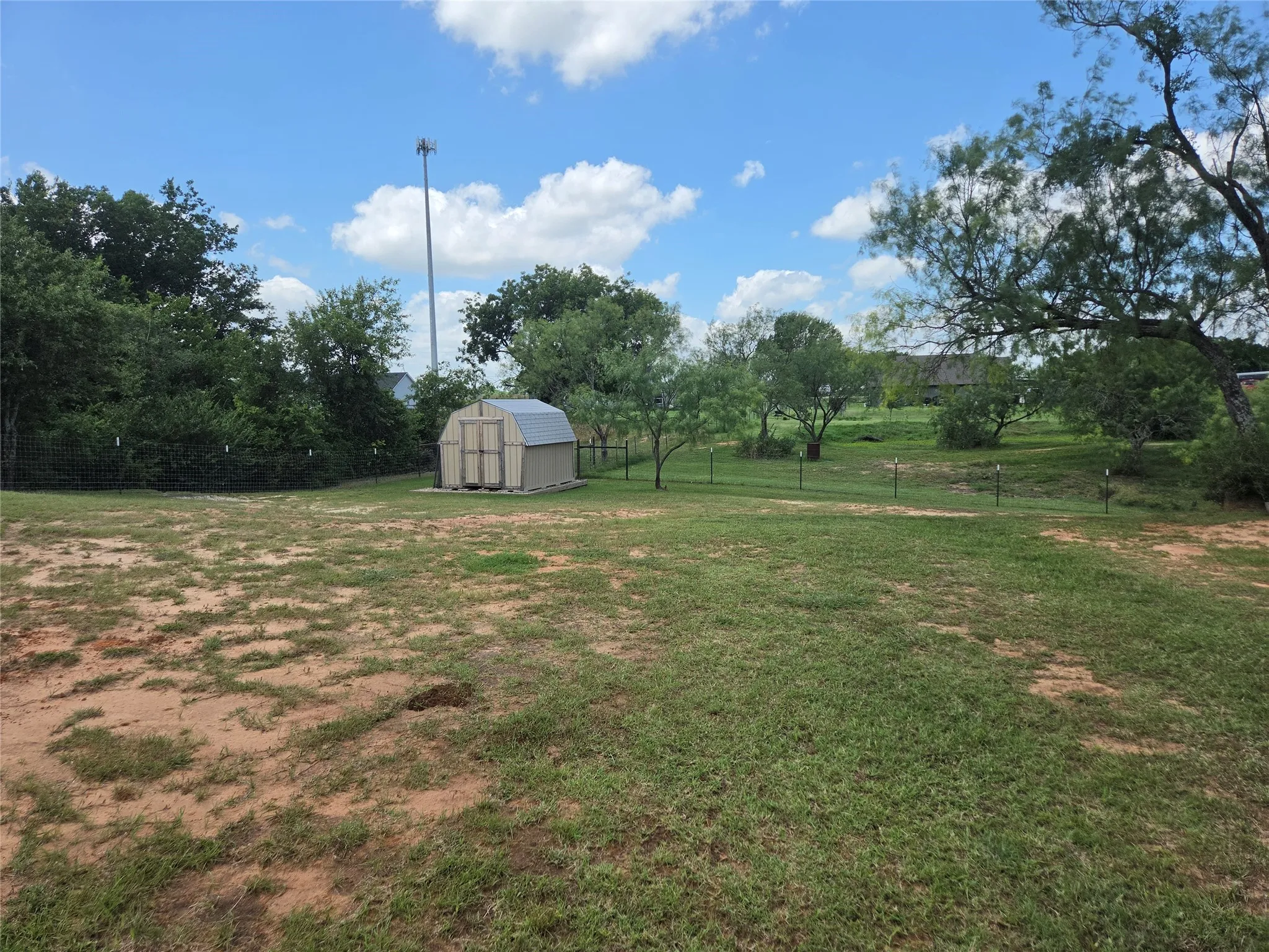 Back yard