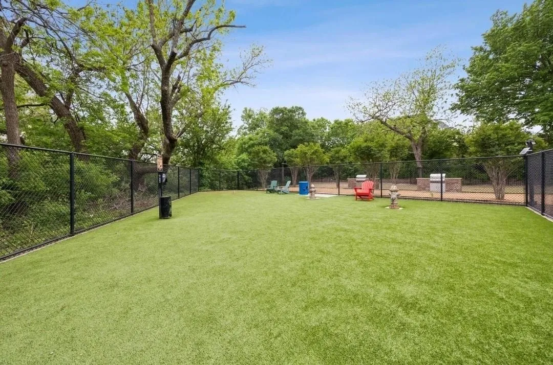 DOG AND PLAY PARK