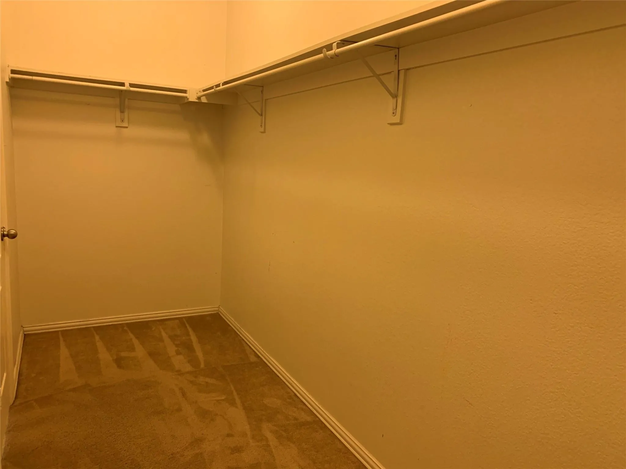 Walk-in closet featuring carpet flooring, crisp white baseboards, and built-in wire shelving