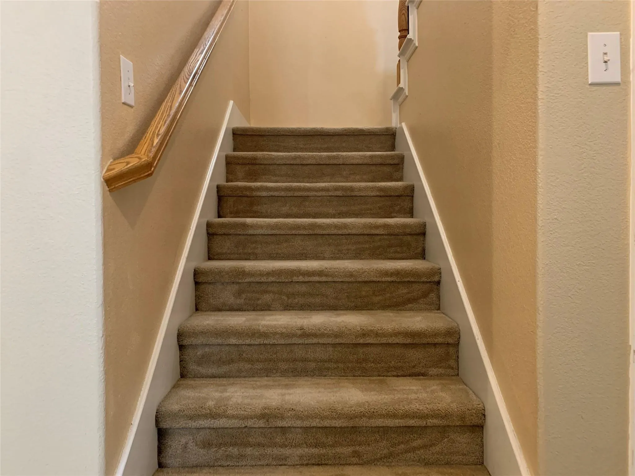 Carpeted staircase with light wood-finish handrail, white risers, and neutral wall tones