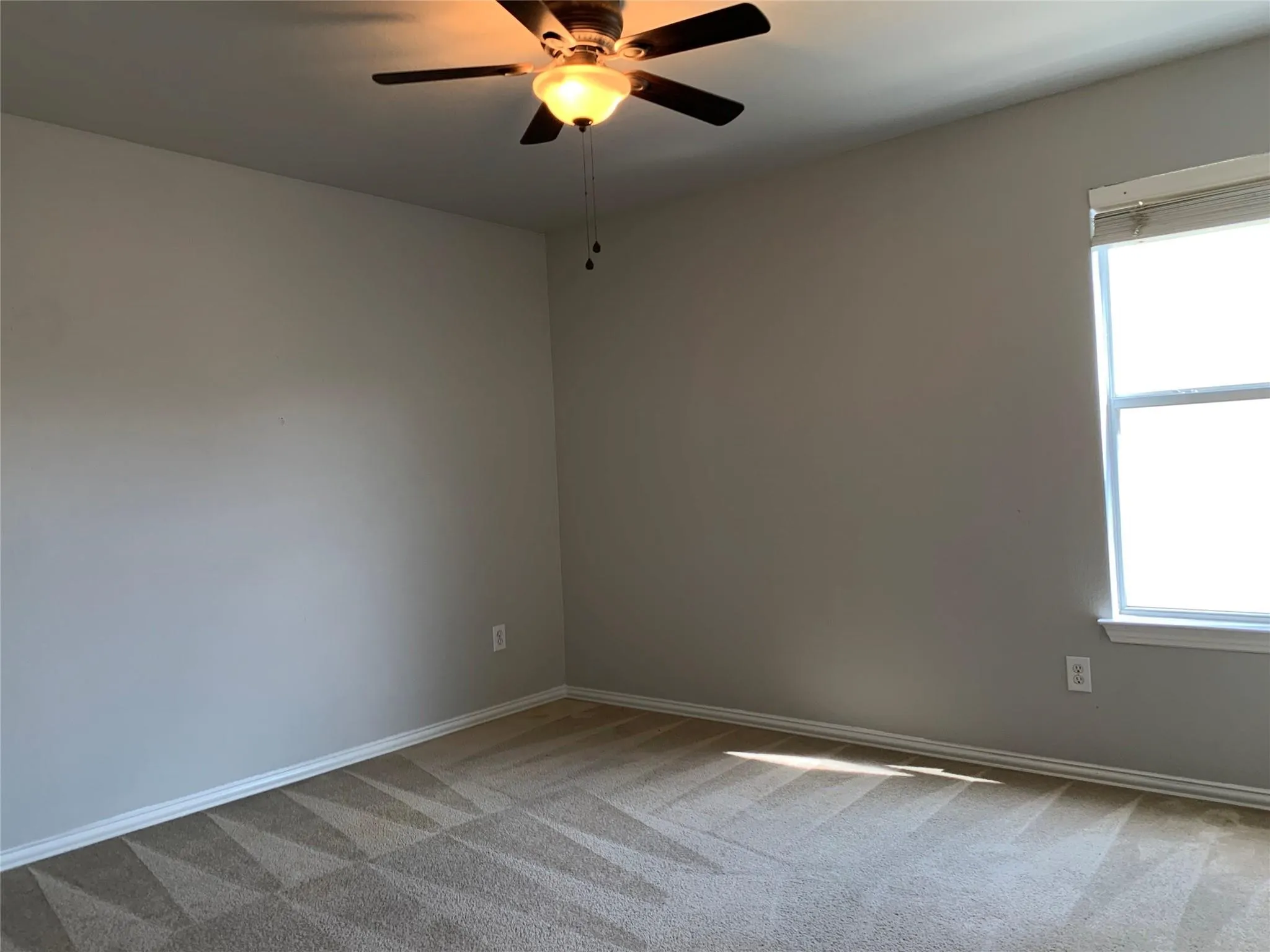 Neutral-toned walls complement patterned carpeting