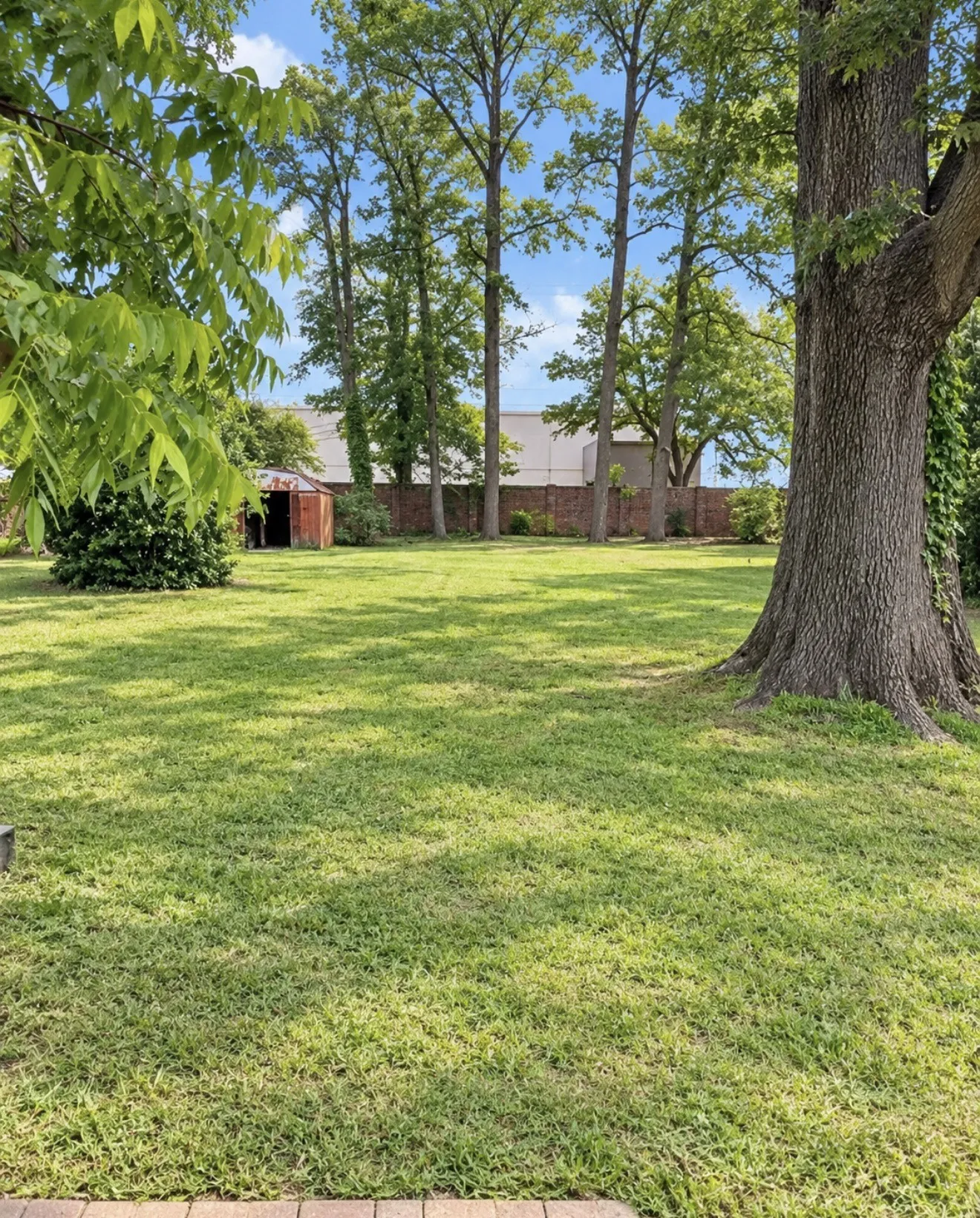 Single Family Residence For Sale in Bowie County , 1002 Champion Street, Texarkana, Texas 75501, 4 Bedroom, 2 Bathroom, 1 Garage spaces, 1,545 Sqft, built in 1975, mls#21297751, Real Estate Agent in Texarkana, Homes For Sale in Bowie county, Homes For Sale in Texarkana, Realtor in Texarkana Texas, Real Estate Brokerage Independent Realty Texas, Luminita Cordes Realtor