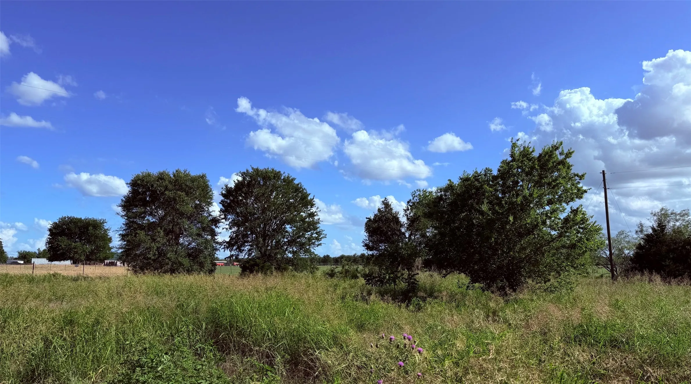Unimproved Land For Sale in Navarro County , 000 Fm 636, Kerens, Texas 75144, 0, 0, Garage spaces, 0 Sqft, built in 0, Price $65,000, mls#21297894, Real Estate Agent in Kerens, Homes For Sale in Navarro county, Homes For Sale in Kerens, Realtor in Kerens Texas, Real Estate Brokerage Independent Realty Texas, Luminita Cordes Realtor