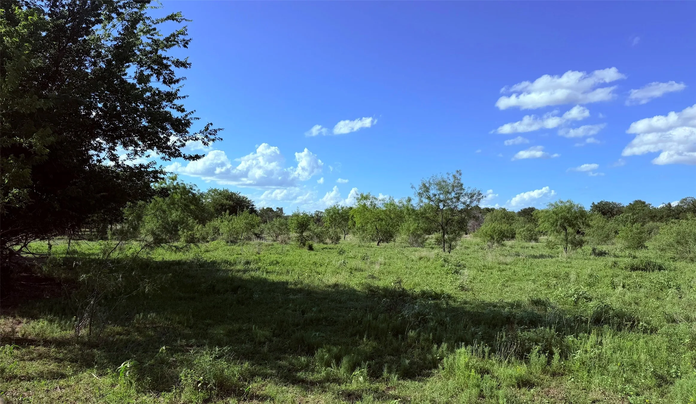 Unimproved Land For Sale in Navarro County , 000 Fm 636, Kerens, Texas 75144, 0, 0, Garage spaces, 0 Sqft, built in 0, Price $65,000, mls#21297894, Real Estate Agent in Kerens, Homes For Sale in Navarro county, Homes For Sale in Kerens, Realtor in Kerens Texas, Real Estate Brokerage Independent Realty Texas, Luminita Cordes Realtor