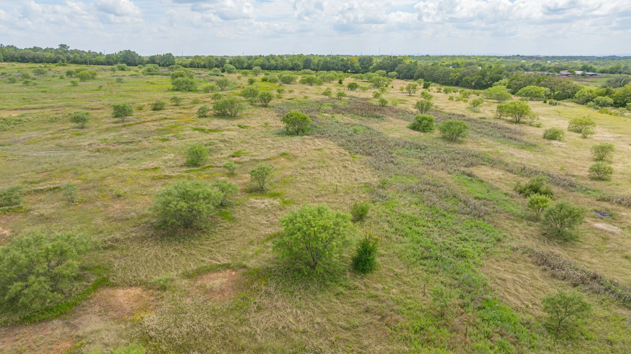 Unimproved Land For Sale in Erath County , 6130 W State Highway 6, Dublin, Texas 76446, 0, 0, Garage spaces, 0 Sqft, built in 0, mls#21297899, Real Estate Agent in Dublin, Homes For Sale in Erath county, Homes For Sale in Dublin, Realtor in Dublin Texas, Real Estate Brokerage Independent Realty Texas, Luminita Cordes Realtor