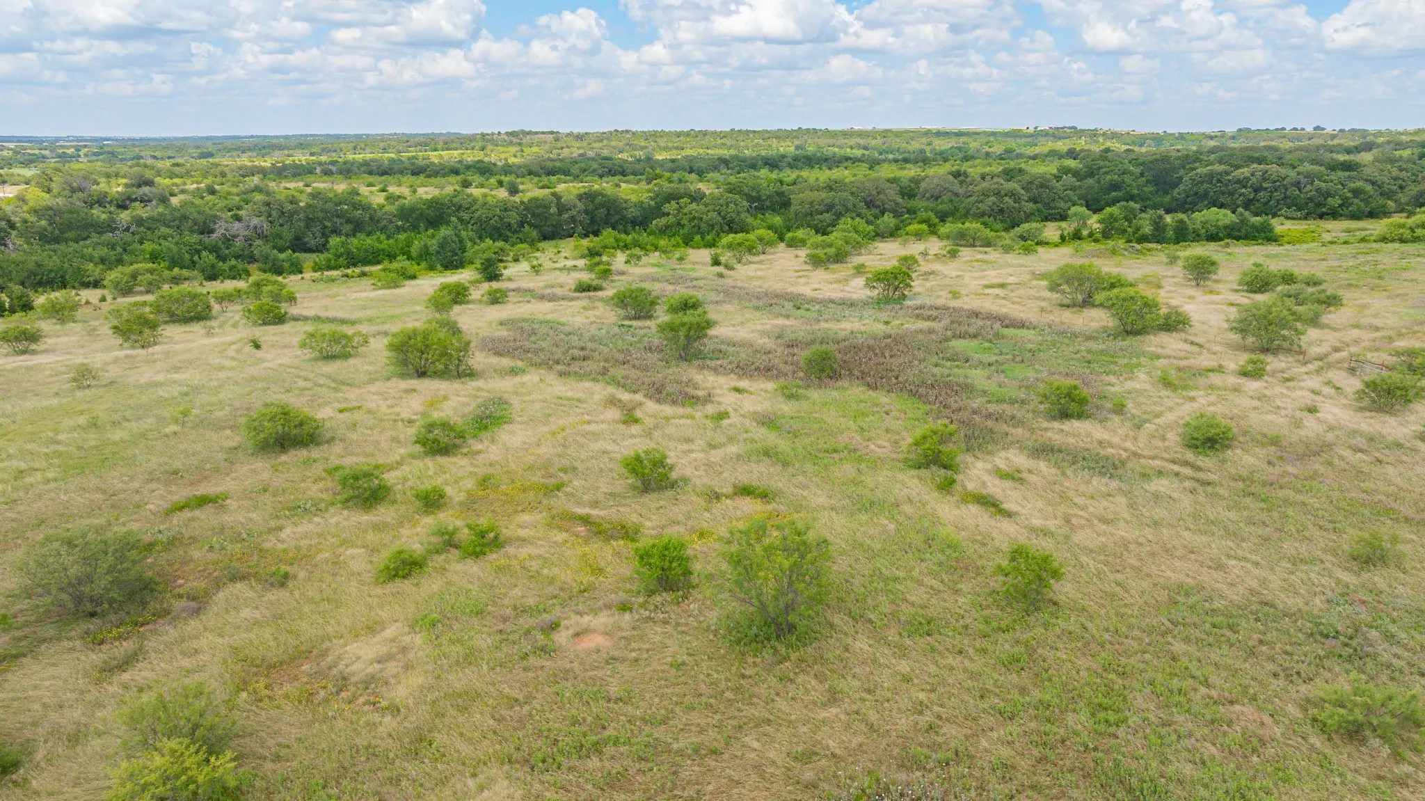 Unimproved Land For Sale in Erath County , 6130 W State Highway 6, Dublin, Texas 76446, 0, 0, Garage spaces, 0 Sqft, built in 0, mls#21297899, Real Estate Agent in Dublin, Homes For Sale in Erath county, Homes For Sale in Dublin, Realtor in Dublin Texas, Real Estate Brokerage Independent Realty Texas, Luminita Cordes Realtor