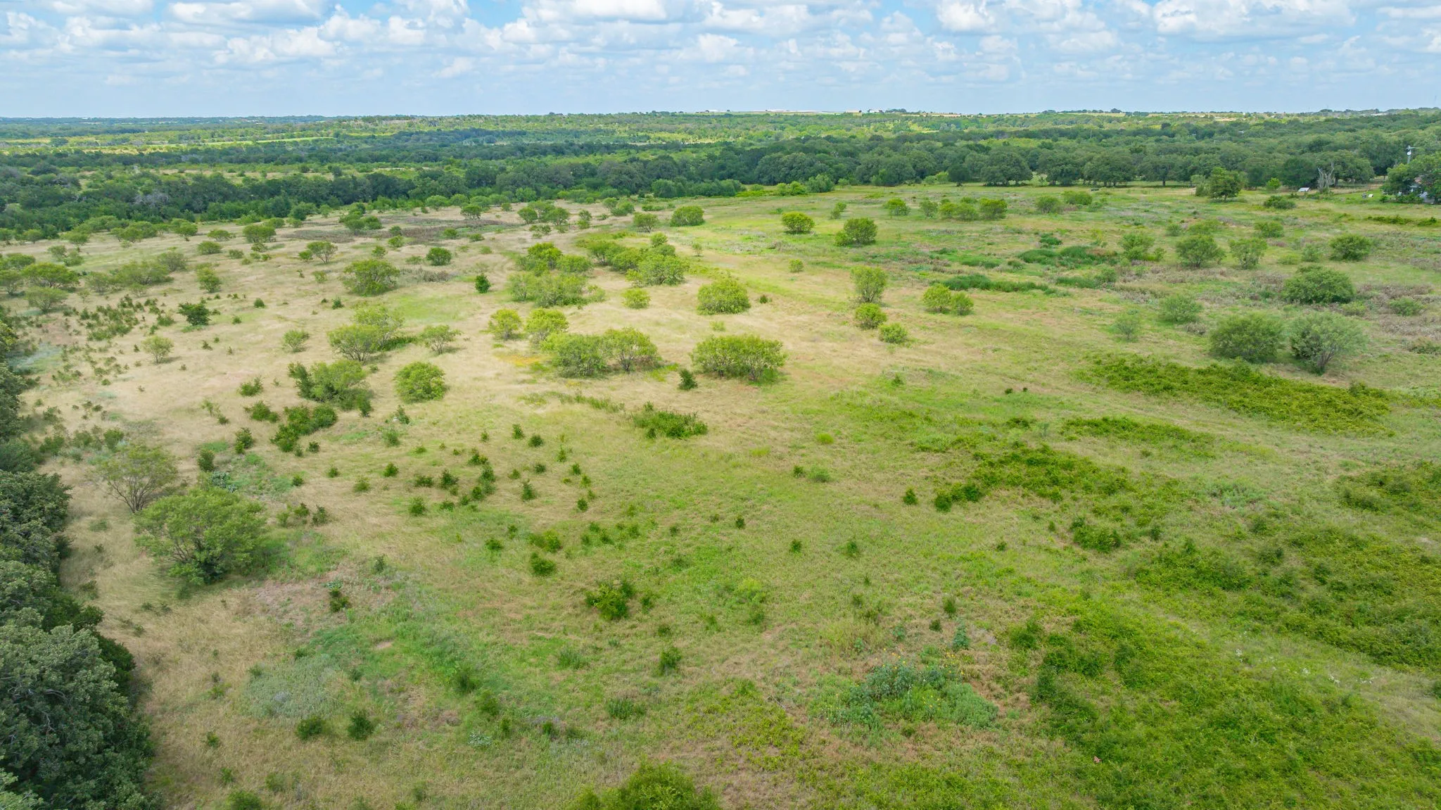 Unimproved Land For Sale in Erath County , 6130 W State Highway 6, Dublin, Texas 76446, 0, 0, Garage spaces, 0 Sqft, built in 0, mls#21297899, Real Estate Agent in Dublin, Homes For Sale in Erath county, Homes For Sale in Dublin, Realtor in Dublin Texas, Real Estate Brokerage Independent Realty Texas, Luminita Cordes Realtor