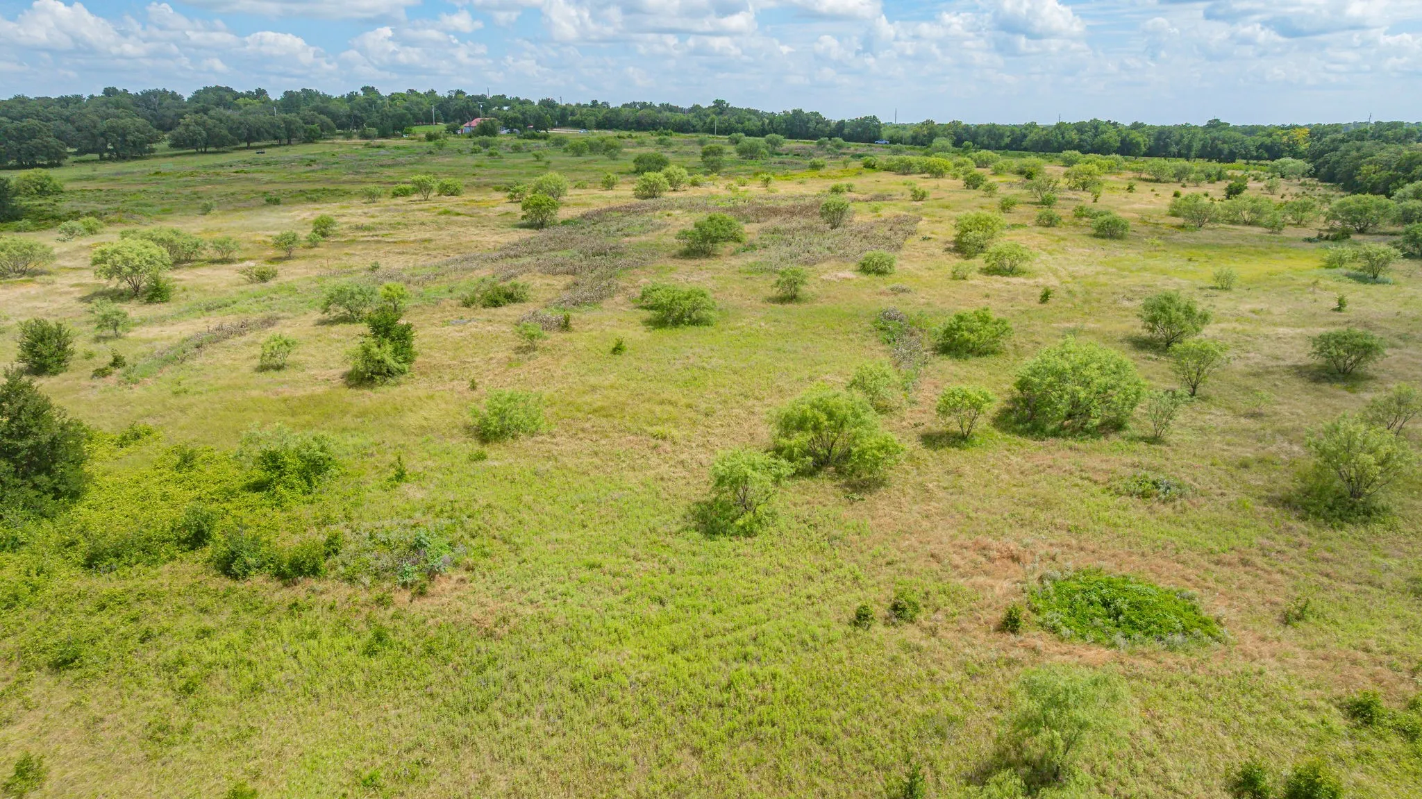 Unimproved Land For Sale in Erath County , 6130 W State Highway 6, Dublin, Texas 76446, 0, 0, Garage spaces, 0 Sqft, built in 0, mls#21297899, Real Estate Agent in Dublin, Homes For Sale in Erath county, Homes For Sale in Dublin, Realtor in Dublin Texas, Real Estate Brokerage Independent Realty Texas, Luminita Cordes Realtor