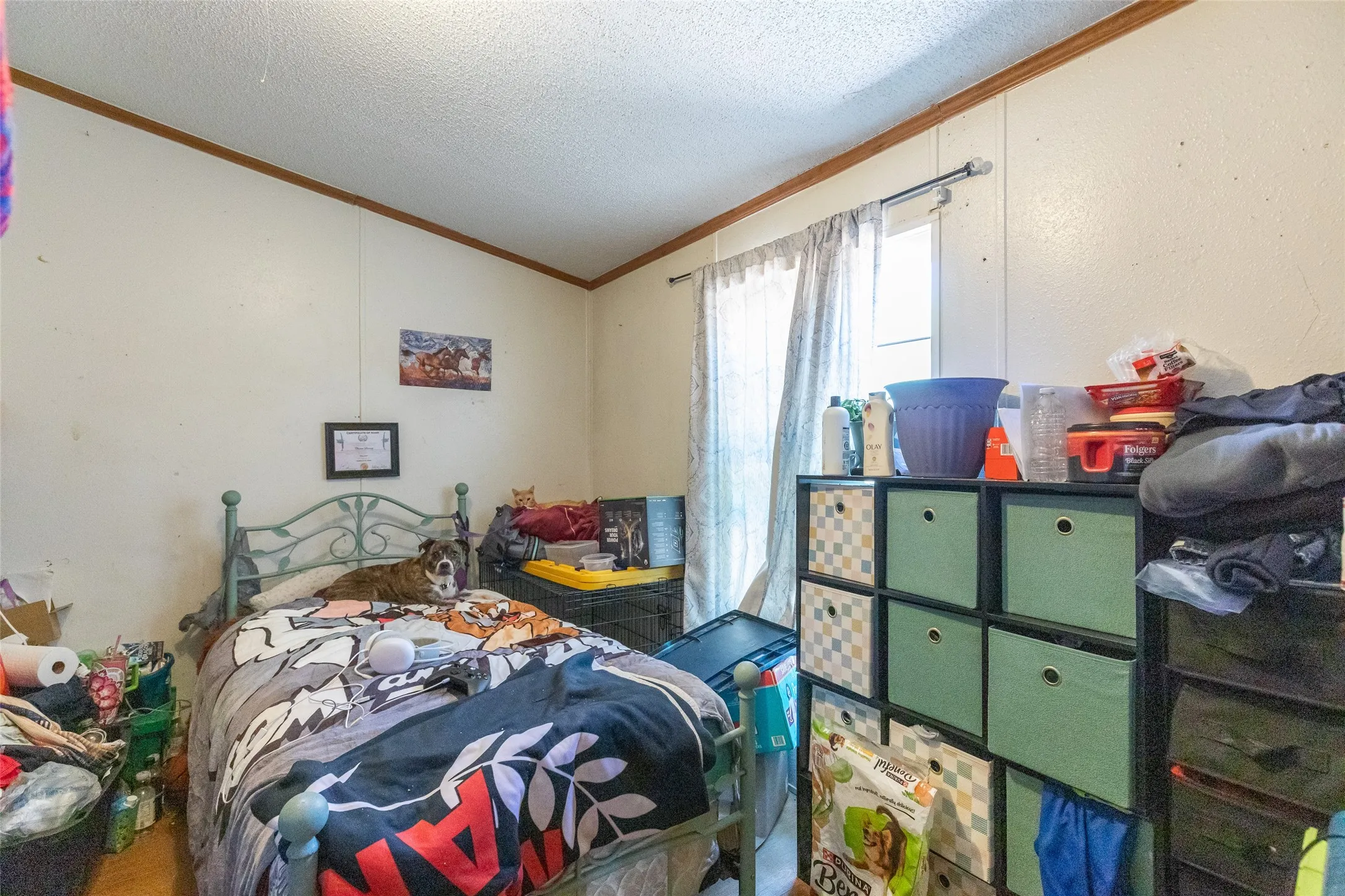 Room featuring white panel walls and a single window with curtain rods