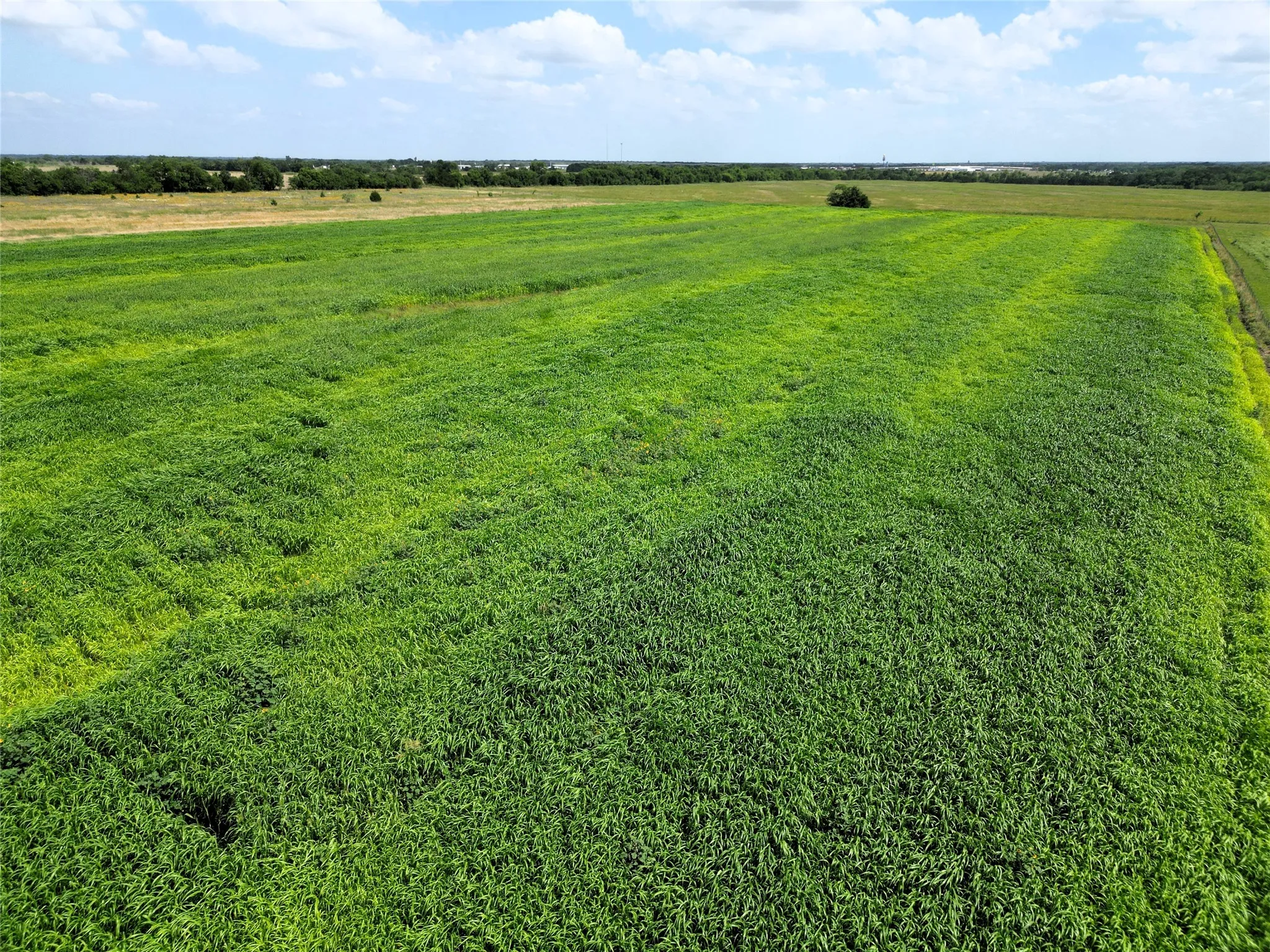 Ranch For Sale in Hunt County , 2852 CR 2134, Caddo Mills, Texas 75135, 0, 0, Garage spaces, 0 Sqft, built in 0, mls#21296485, Real Estate Agent in Caddo Mills, Homes For Sale in Hunt county, Homes For Sale in Caddo Mills, Realtor in Caddo Mills Texas, Real Estate Brokerage Independent Realty Texas, Luminita Cordes Realtor